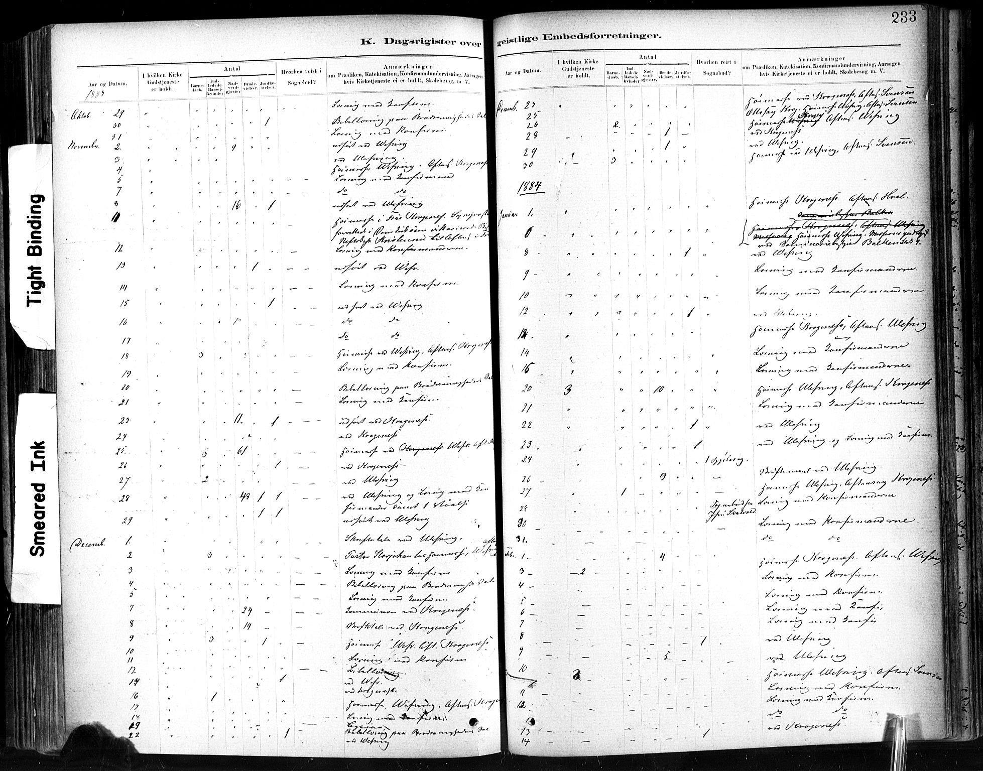 Ministerialprotokoller, klokkerbøker og fødselsregistre - Sør-Trøndelag, SAT/A-1456/602/L0120: Parish register (official) no. 602A18, 1880-1913, p. 233