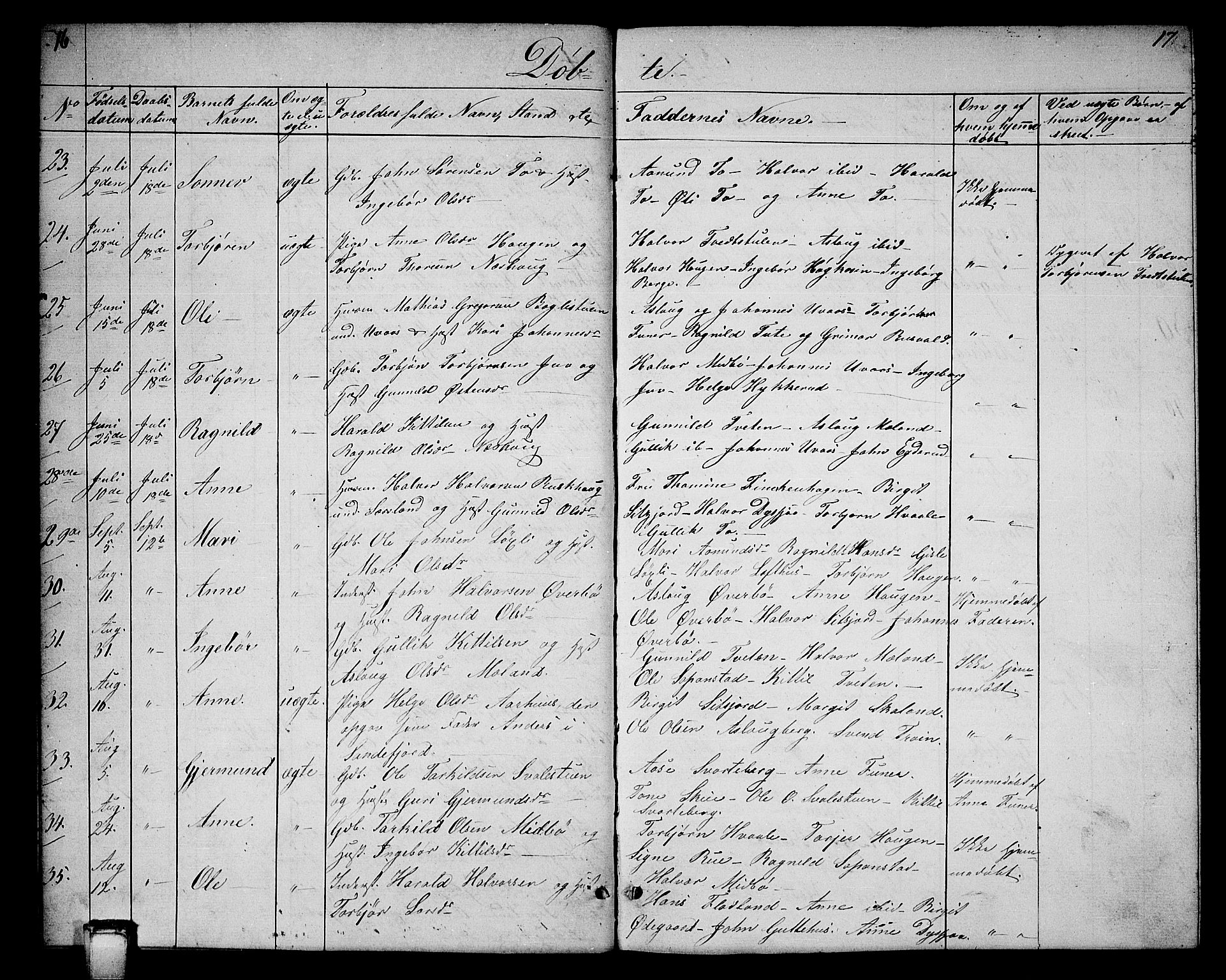 Hjartdal kirkebøker, SAKO/A-270/G/Ga/L0002: Parish register (copy) no. I 2, 1854-1888, p. 16-17