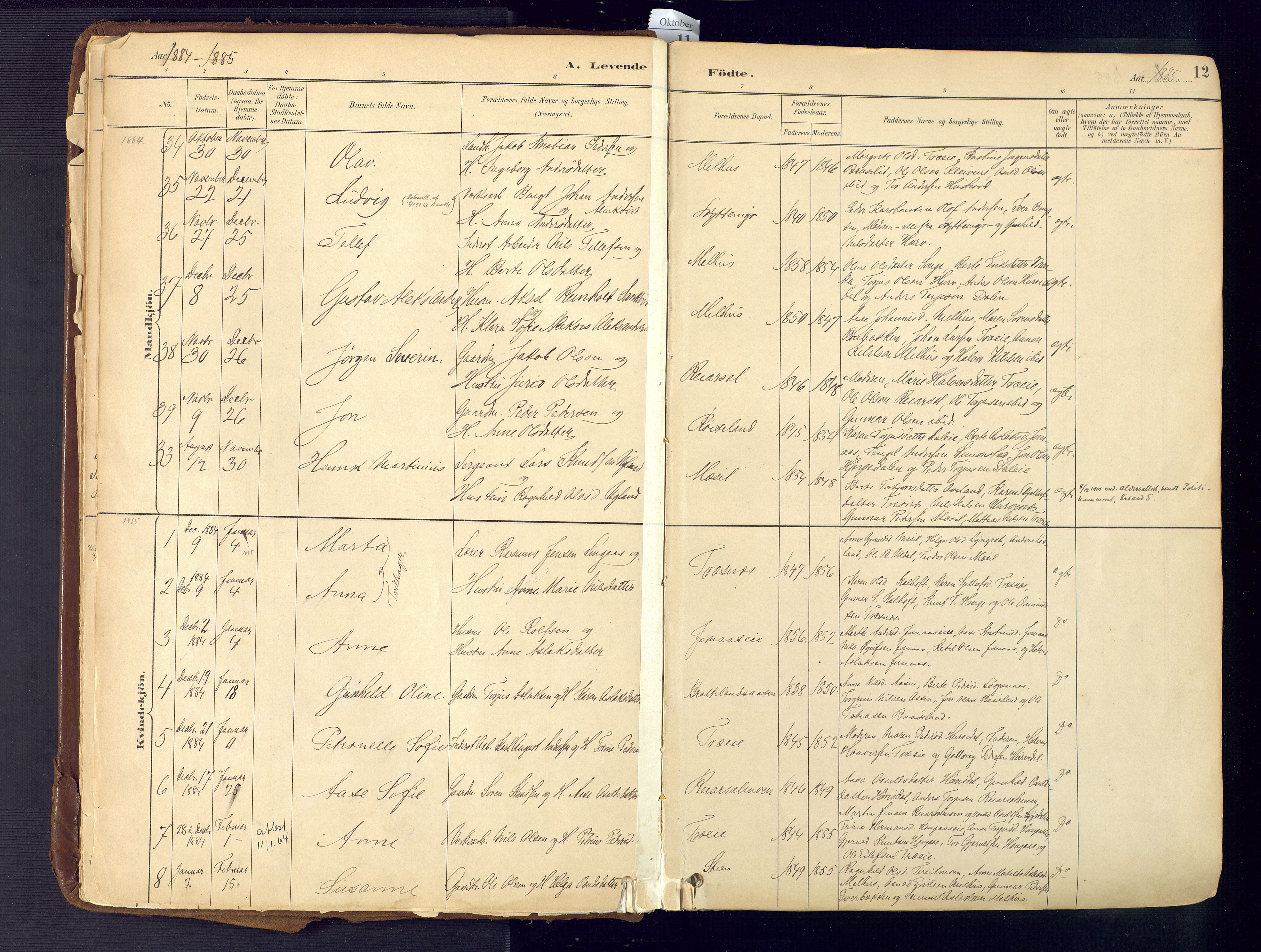 Froland sokneprestkontor, SAK/1111-0013/F/Fa/L0005: Parish register (official) no. A 5, 1882-1921, p. 12