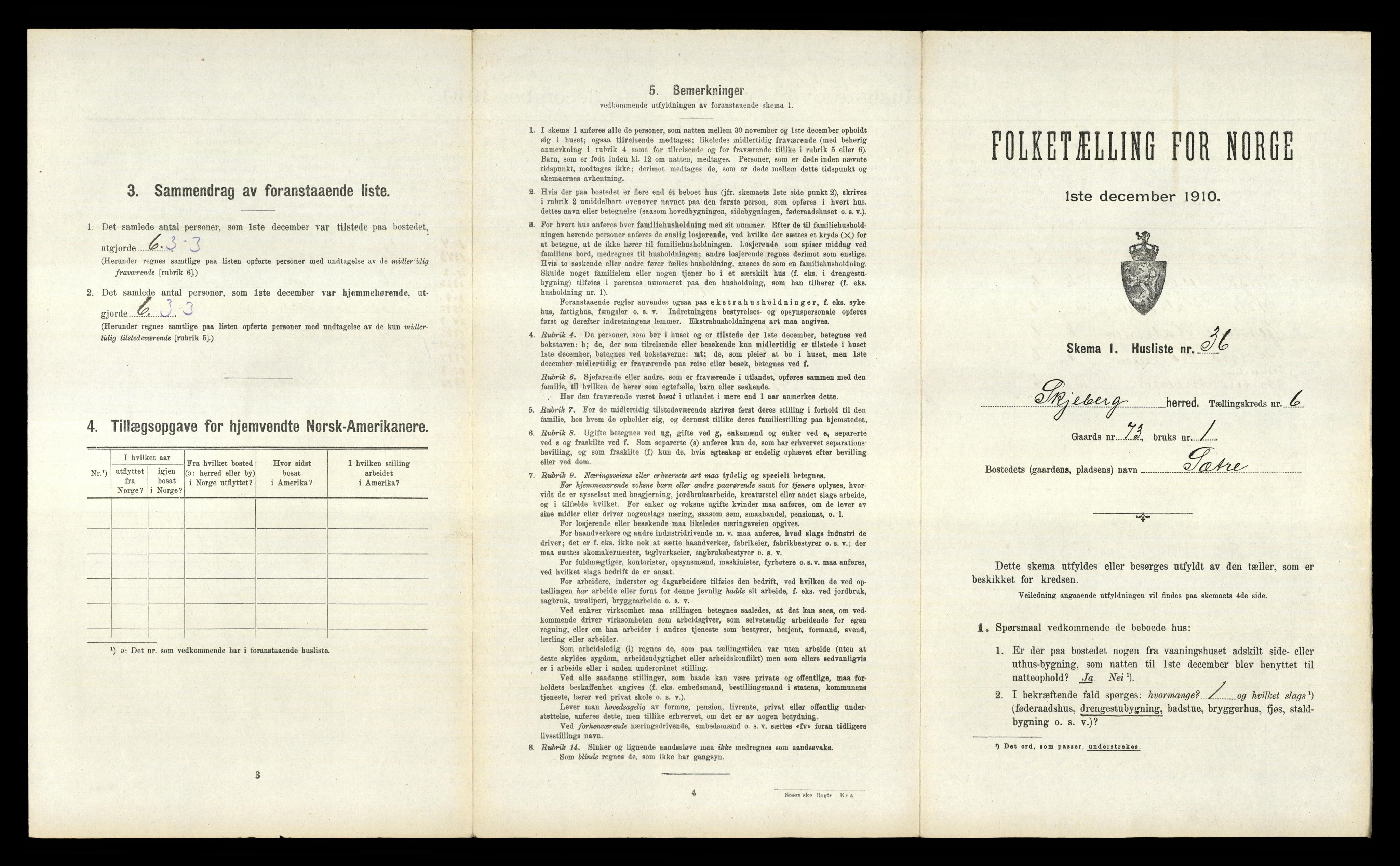 RA, 1910 census for Skjeberg, 1910, p. 1036