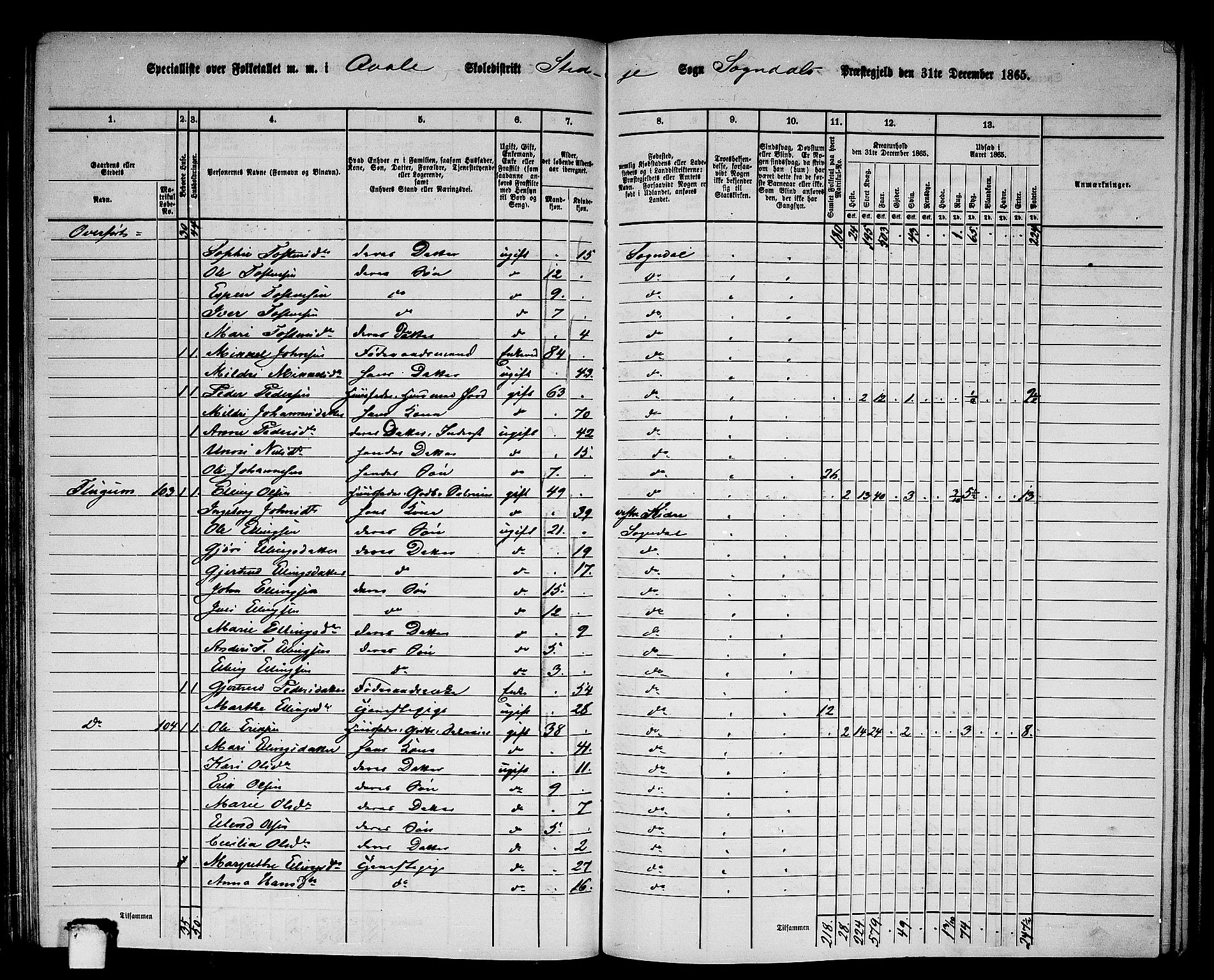 RA, 1865 census for Sogndal, 1865, p. 79