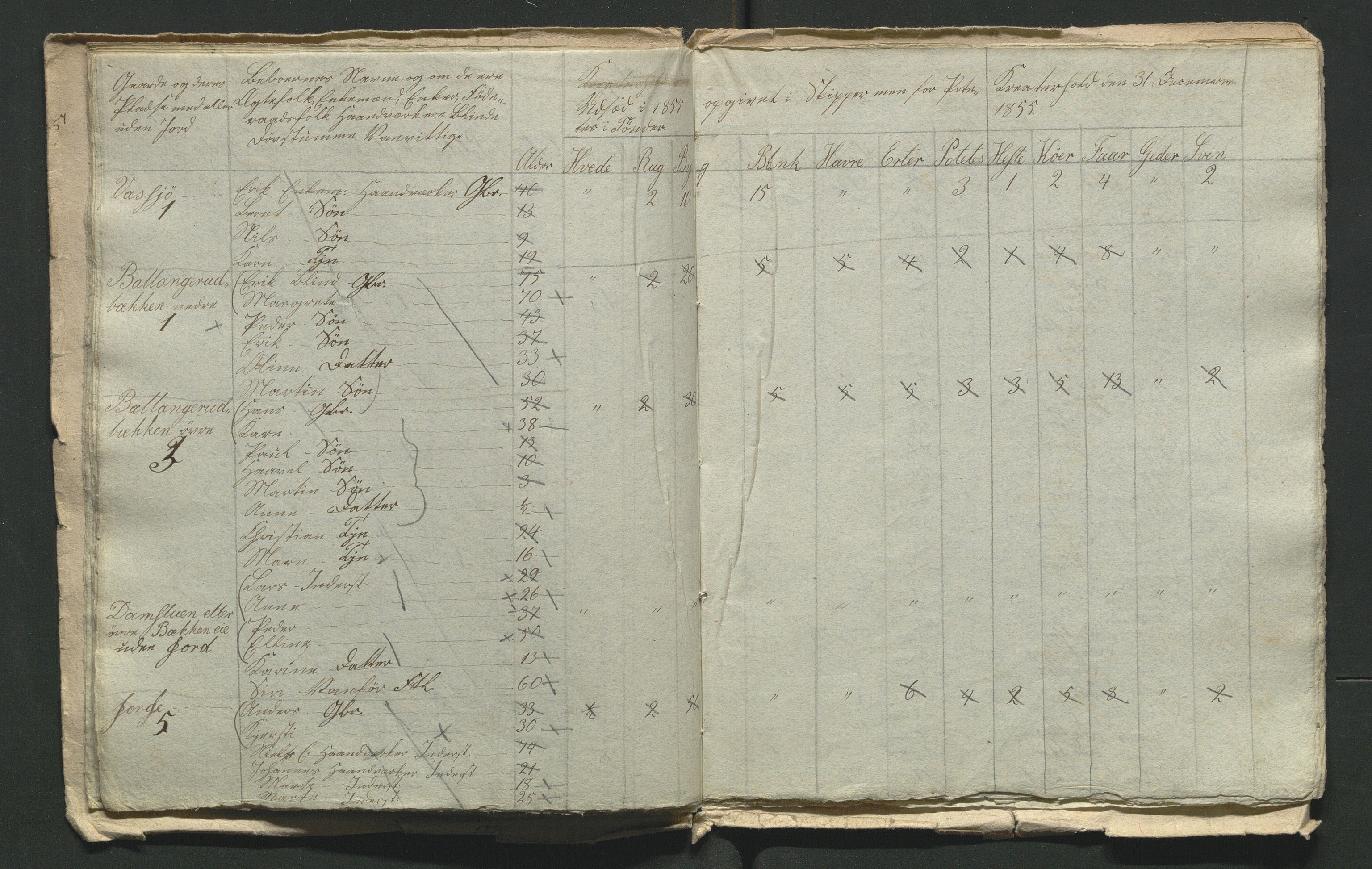 SAH, 1855 Census for Jevnaker parish, 1855, p. 11