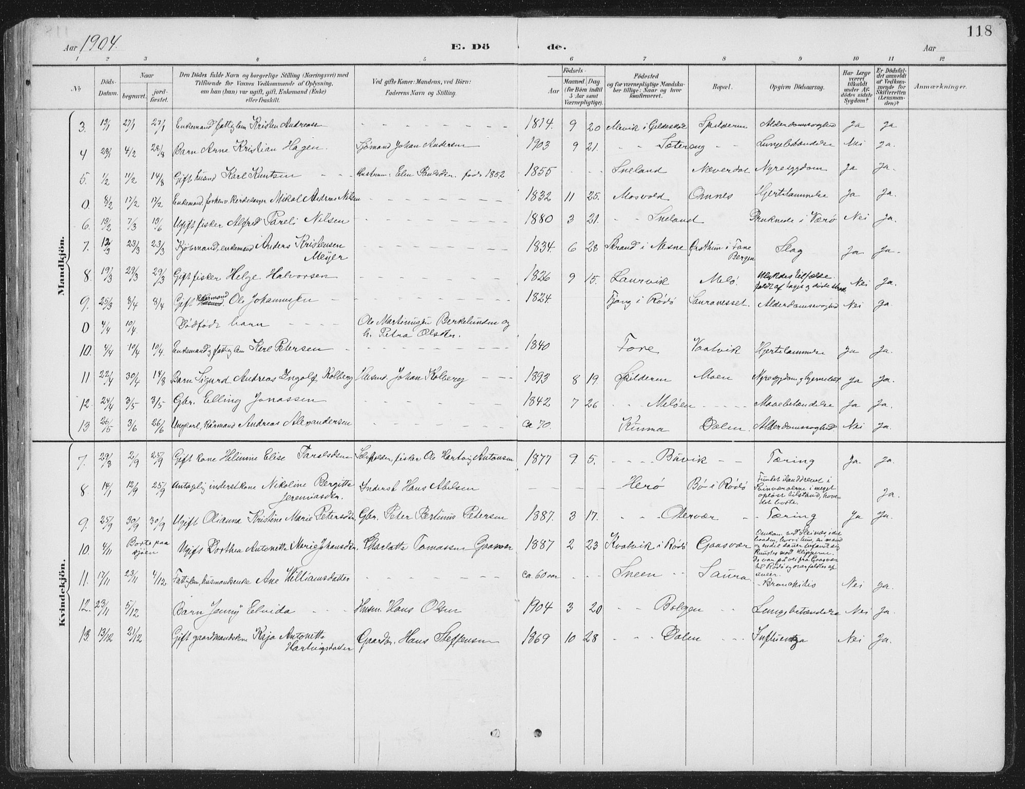 Ministerialprotokoller, klokkerbøker og fødselsregistre - Nordland, AV/SAT-A-1459/843/L0638: Parish register (copy) no. 843C07, 1888-1907, p. 118