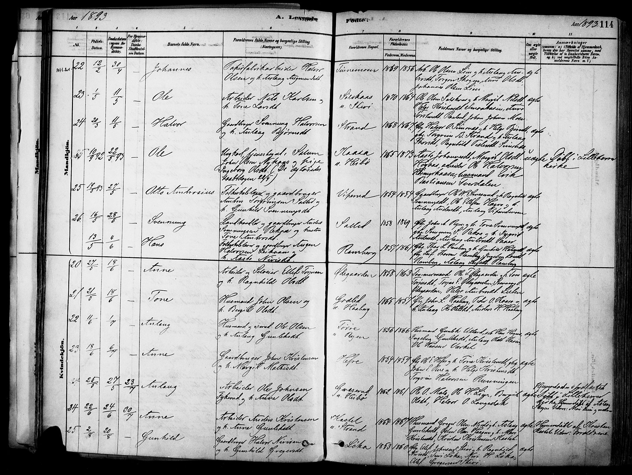 Heddal kirkebøker, AV/SAKO-A-268/F/Fa/L0008: Parish register (official) no. I 8, 1878-1903, p. 114