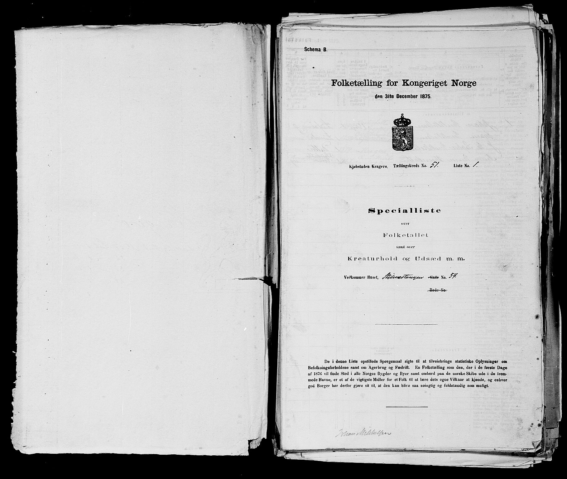 SAKO, 1875 census for 0801P Kragerø, 1875, p. 1123