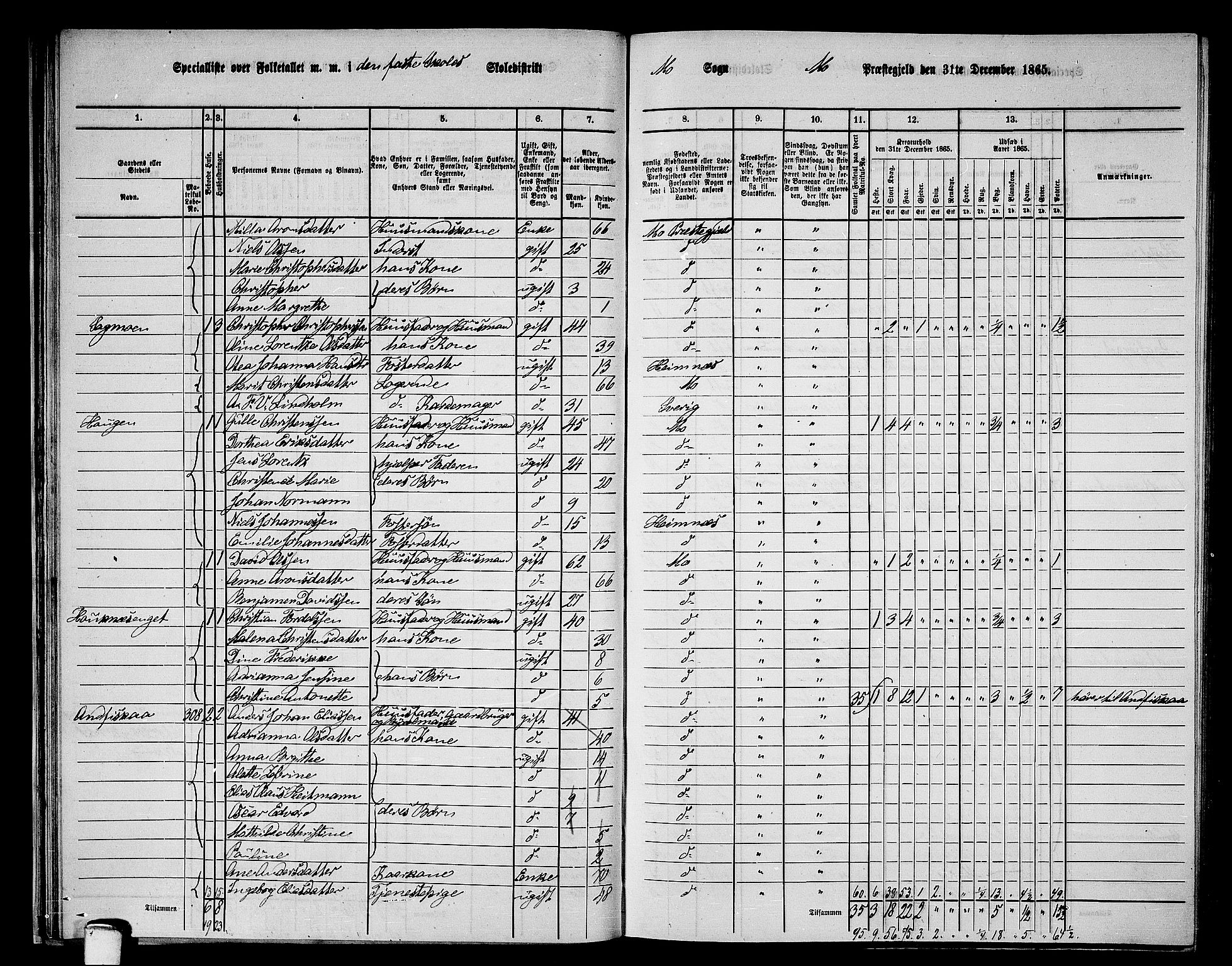 RA, 1865 census for Mo, 1865, p. 36