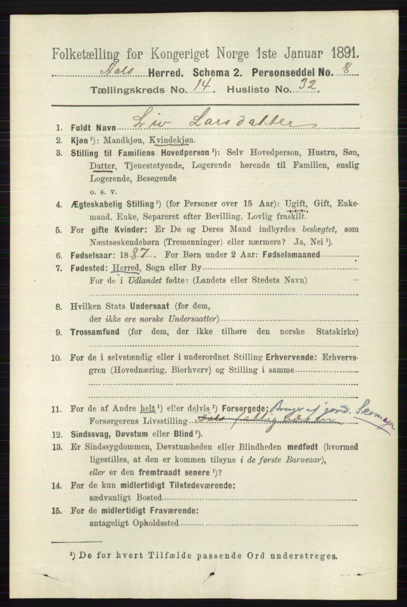 RA, 1891 census for 0619 Ål, 1891, p. 3703