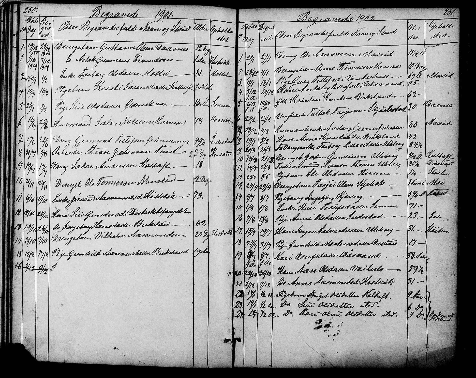 Evje sokneprestkontor, SAK/1111-0008/F/Fb/Fbb/L0002: Parish register (copy) no. B 2, 1879-1909, p. 250-251
