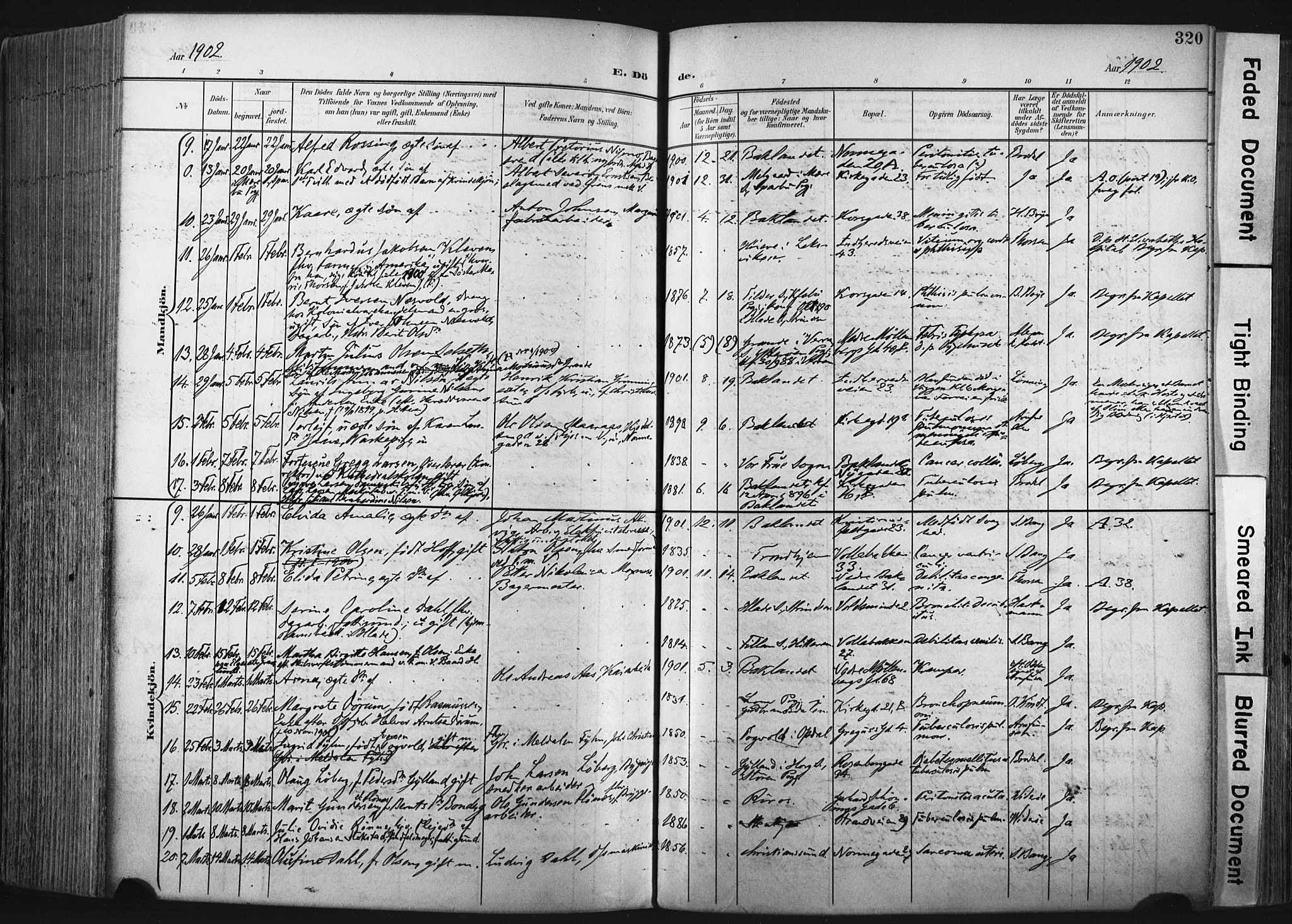 Ministerialprotokoller, klokkerbøker og fødselsregistre - Sør-Trøndelag, SAT/A-1456/604/L0201: Parish register (official) no. 604A21, 1901-1911, p. 320
