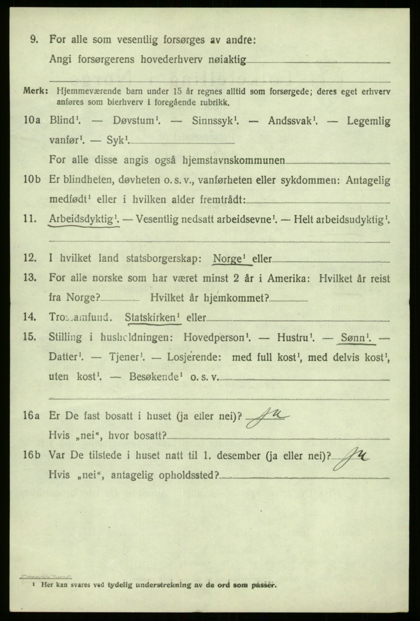 SAB, 1920 census for Hafslo, 1920, p. 2623