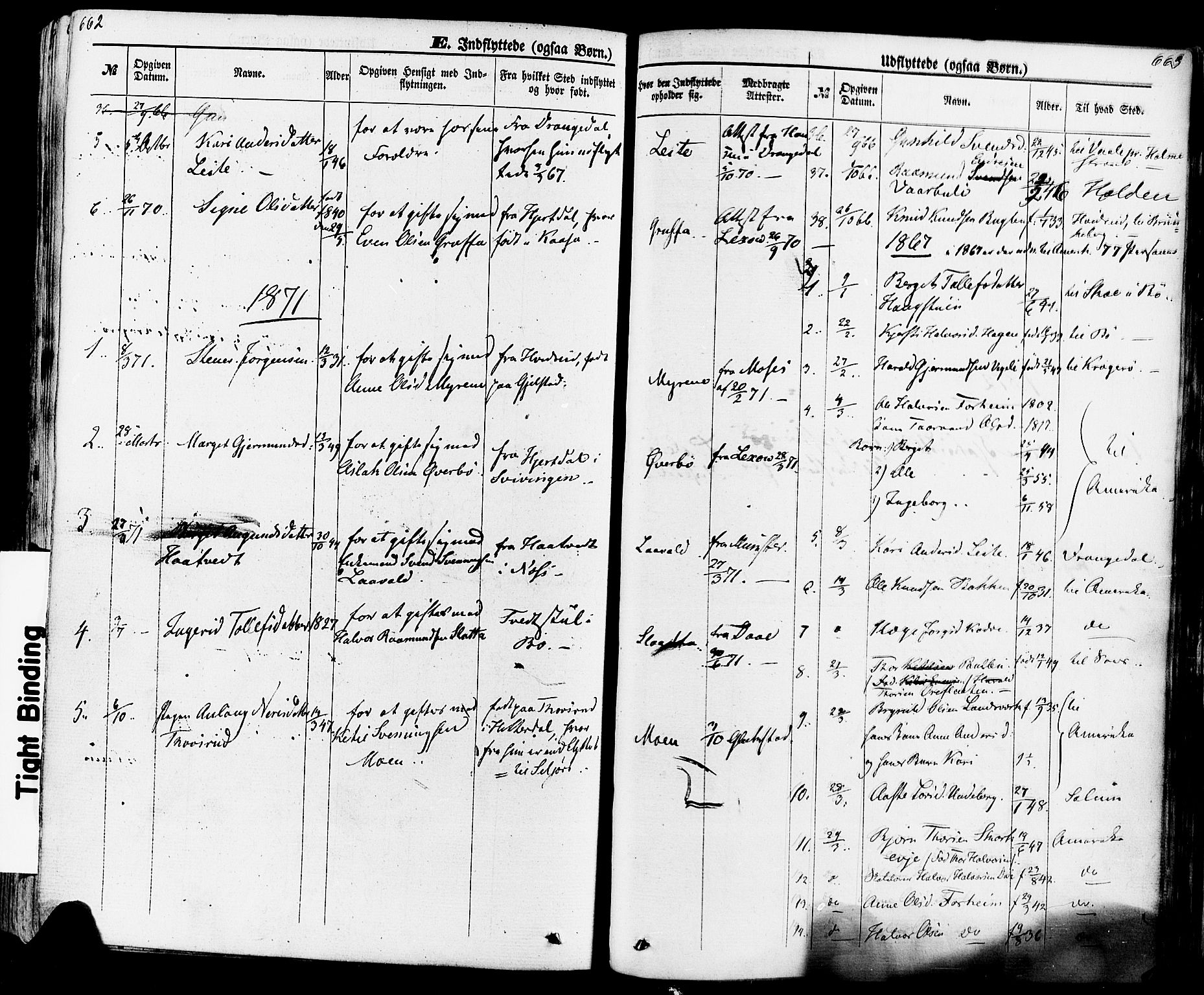 Seljord kirkebøker, SAKO/A-20/F/Fa/L0013: Parish register (official) no. I 13, 1866-1876, p. 662-663