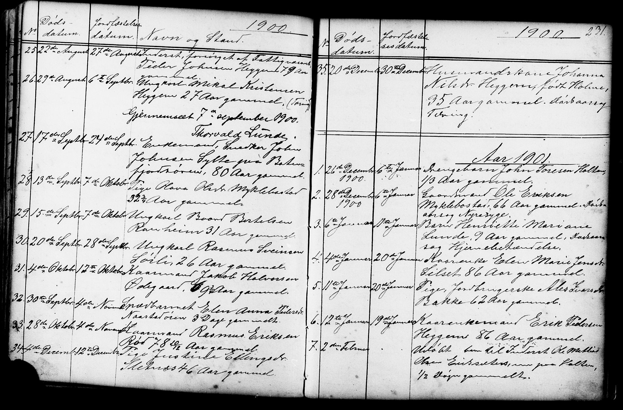 Ministerialprotokoller, klokkerbøker og fødselsregistre - Møre og Romsdal, AV/SAT-A-1454/584/L0969: Parish register (copy) no. 584C02, 1877-1911, p. 231