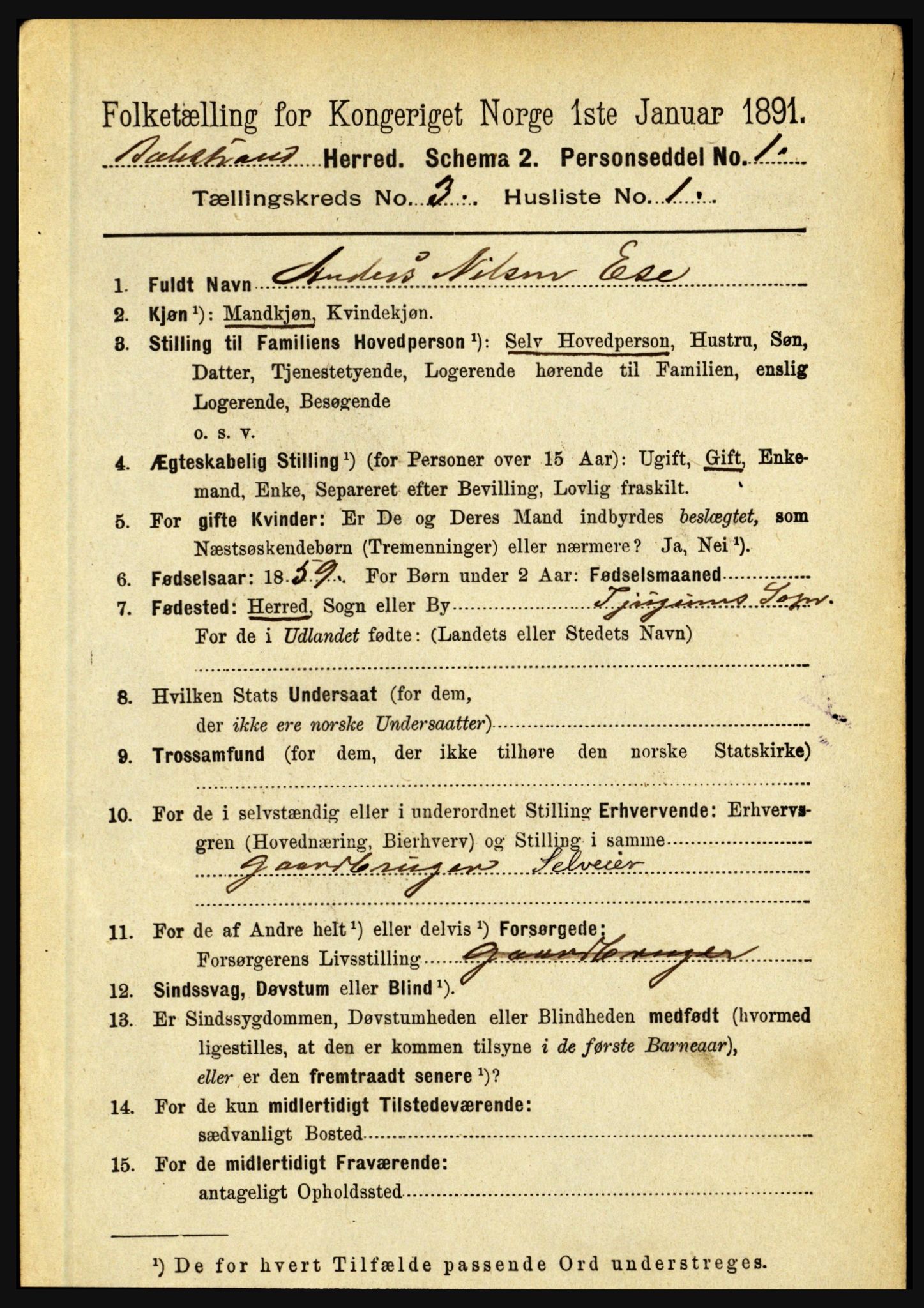 RA, 1891 census for 1418 Balestrand, 1891, p. 594