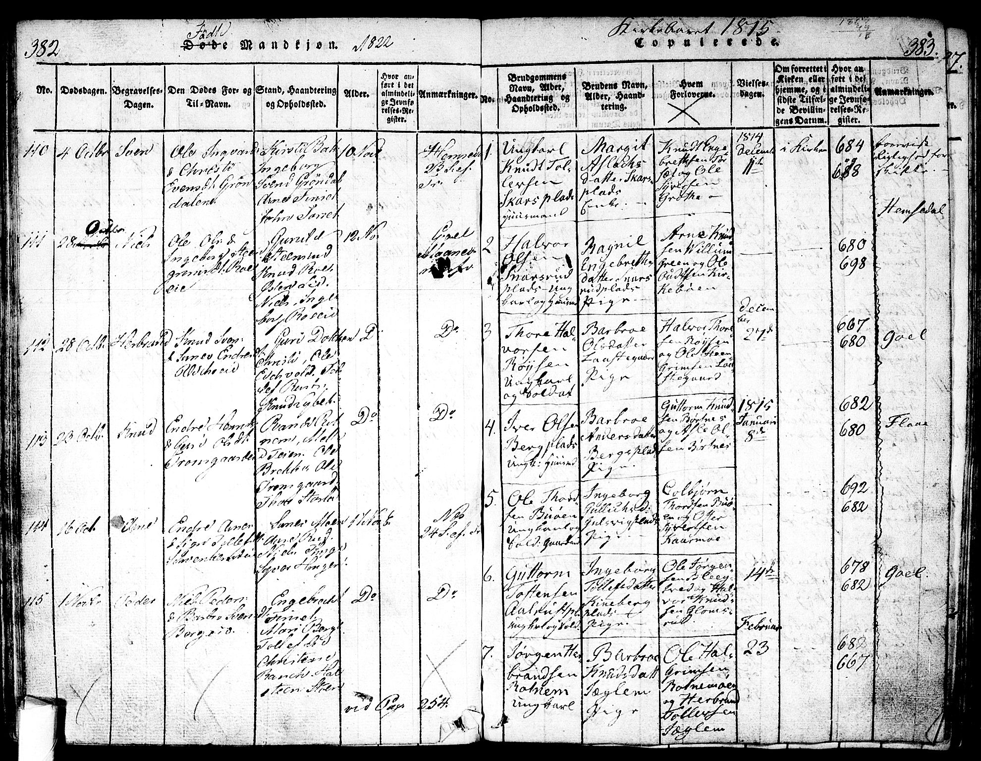 Nes kirkebøker, SAKO/A-236/F/Fa/L0007: Parish register (official) no. 7, 1815-1823, p. 382-383