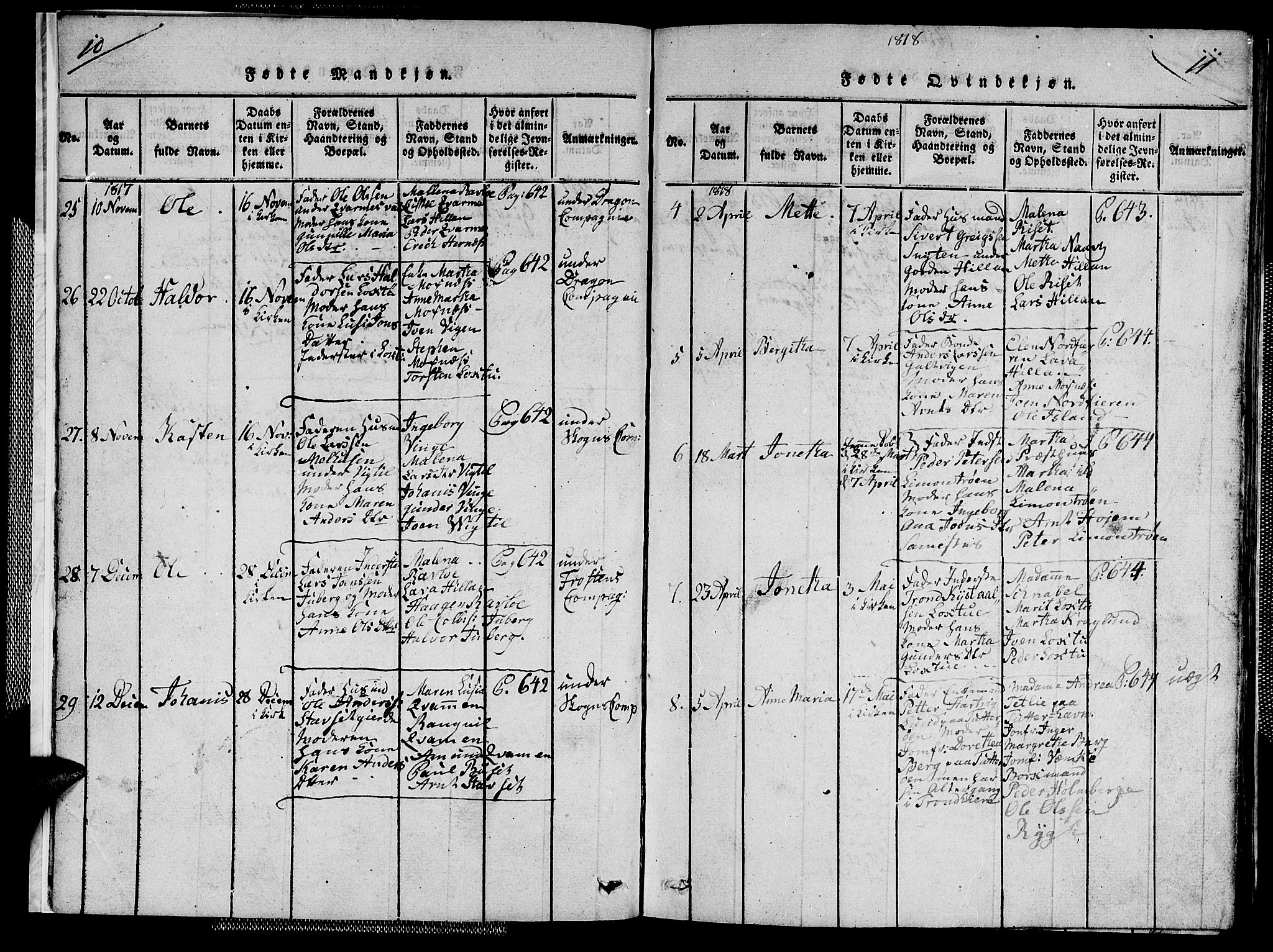 Ministerialprotokoller, klokkerbøker og fødselsregistre - Nord-Trøndelag, SAT/A-1458/713/L0124: Parish register (copy) no. 713C01, 1817-1827, p. 10-11