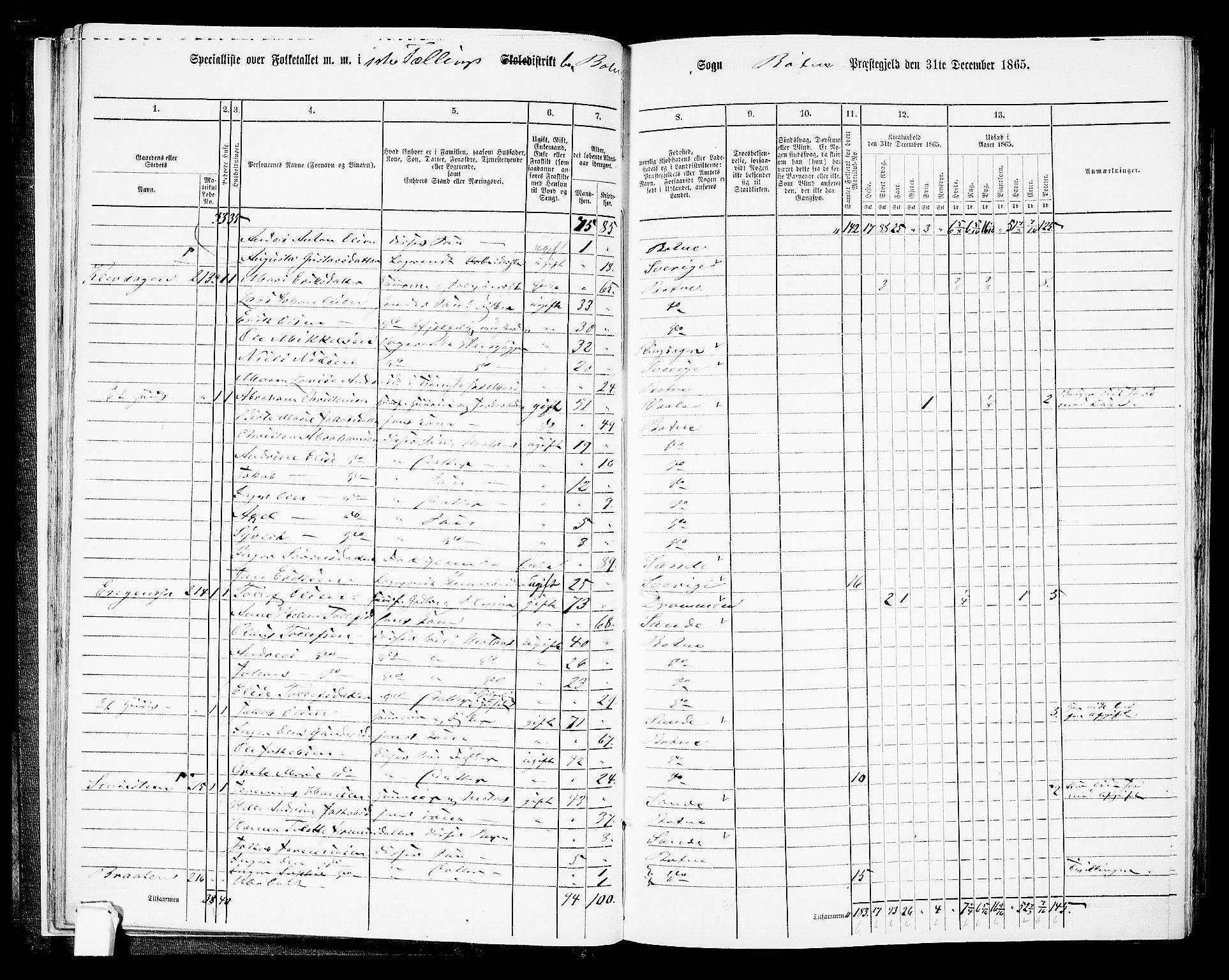 RA, 1865 census for Botne/Botne og Hillestad, 1865, p. 30