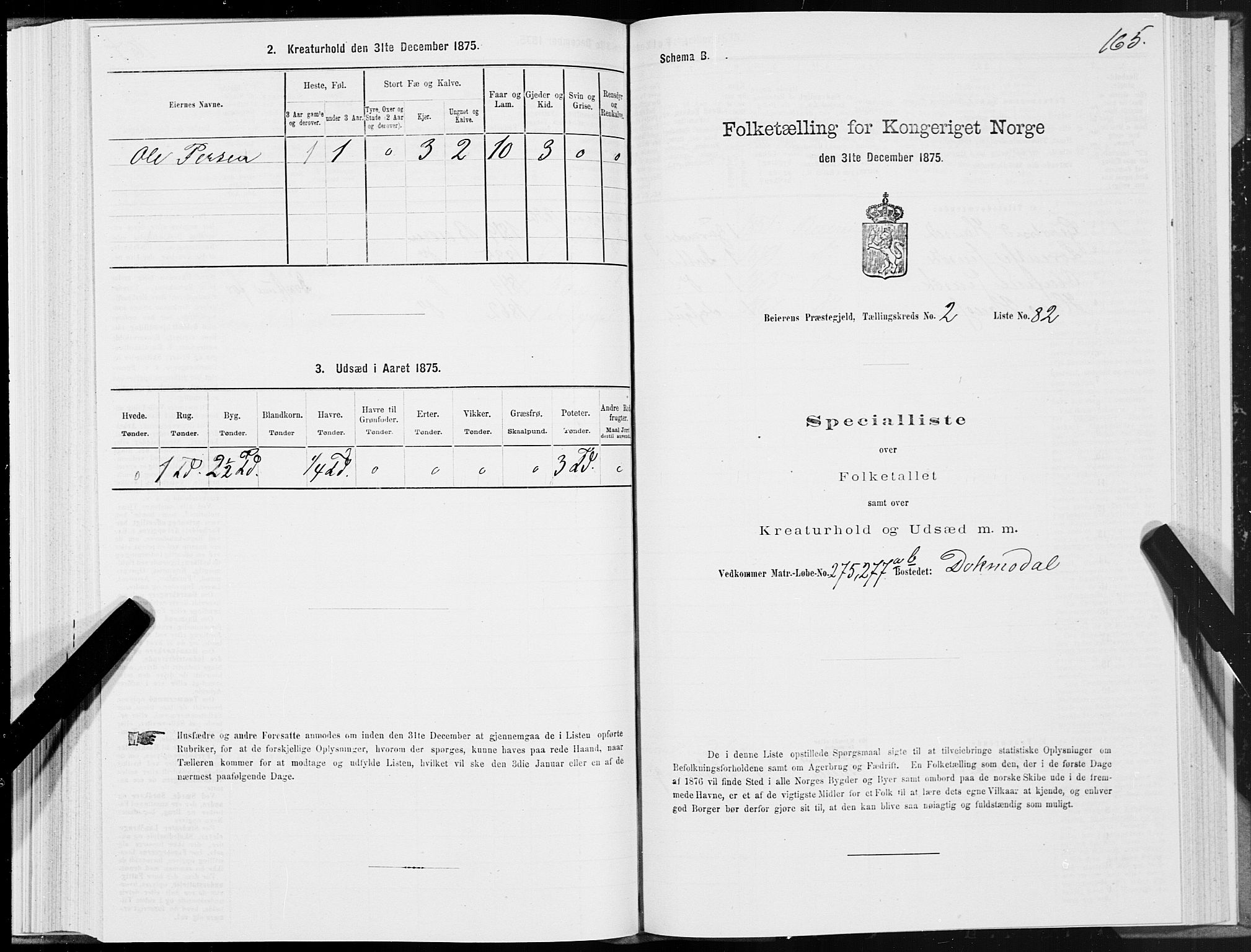 SAT, 1875 census for 1839P Beiarn, 1875, p. 2165