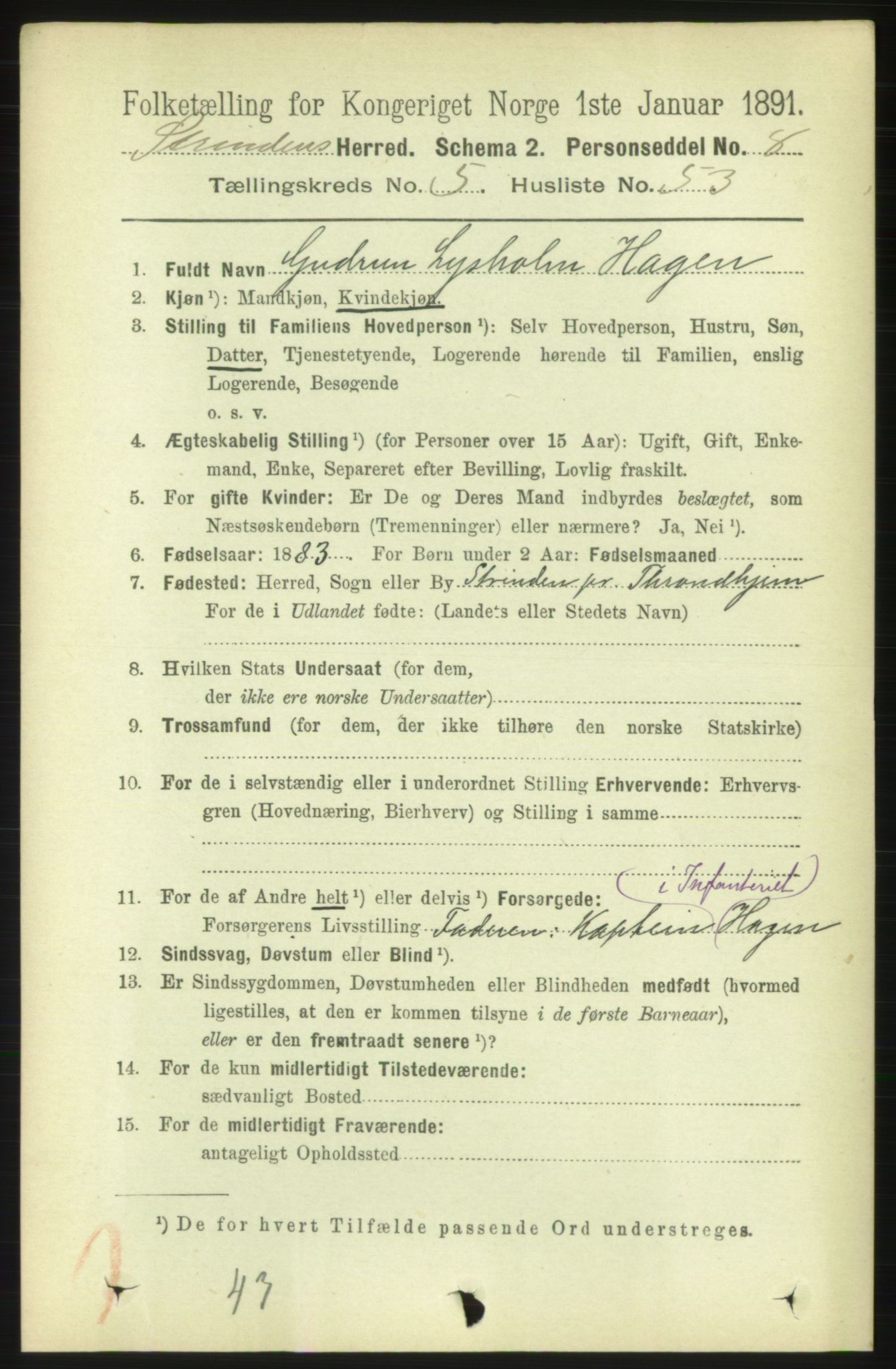 RA, 1891 census for 1660 Strinda, 1891, p. 5007