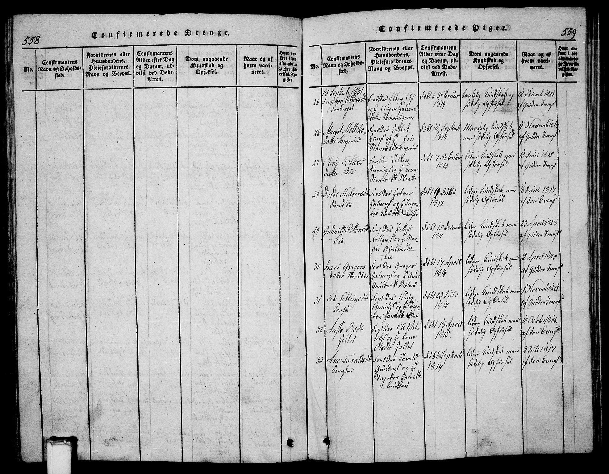 Bø kirkebøker, AV/SAKO-A-257/G/Ga/L0001: Parish register (copy) no. 1, 1815-1831, p. 558-559