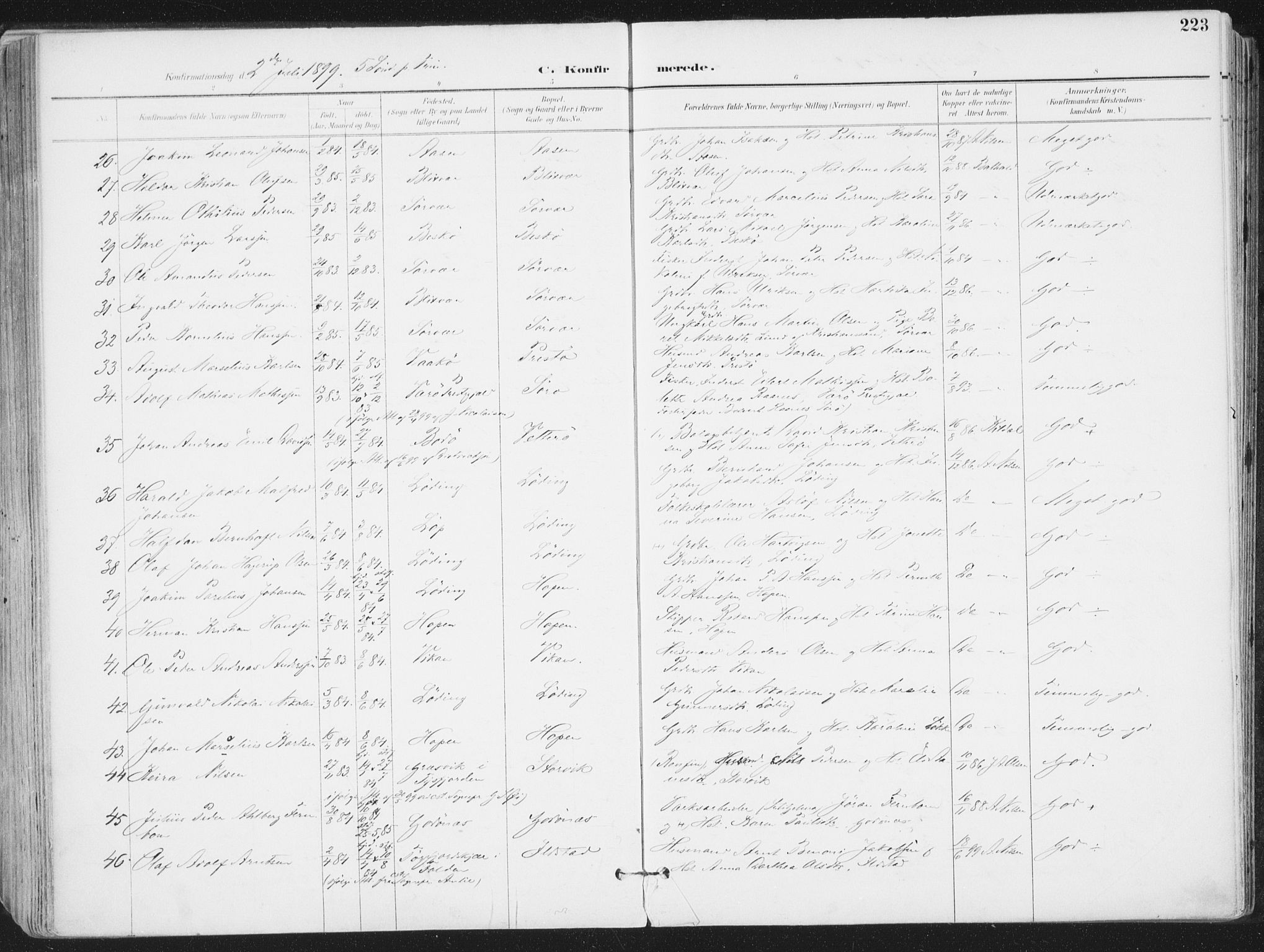 Ministerialprotokoller, klokkerbøker og fødselsregistre - Nordland, SAT/A-1459/802/L0055: Parish register (official) no. 802A02, 1894-1915, p. 223