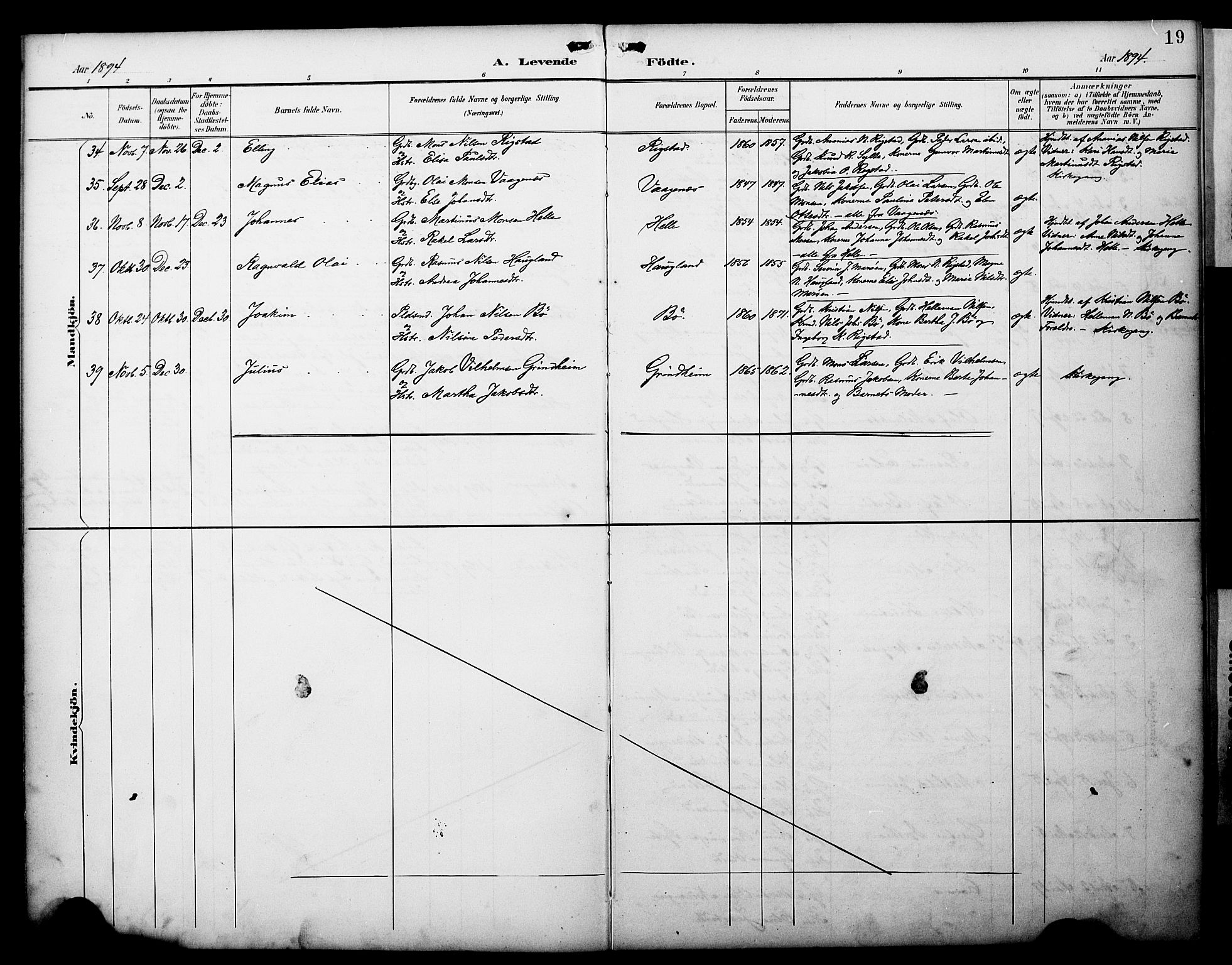 Manger sokneprestembete, SAB/A-76801/H/Haa: Parish register (official) no. C 2, 1891-1902, p. 19