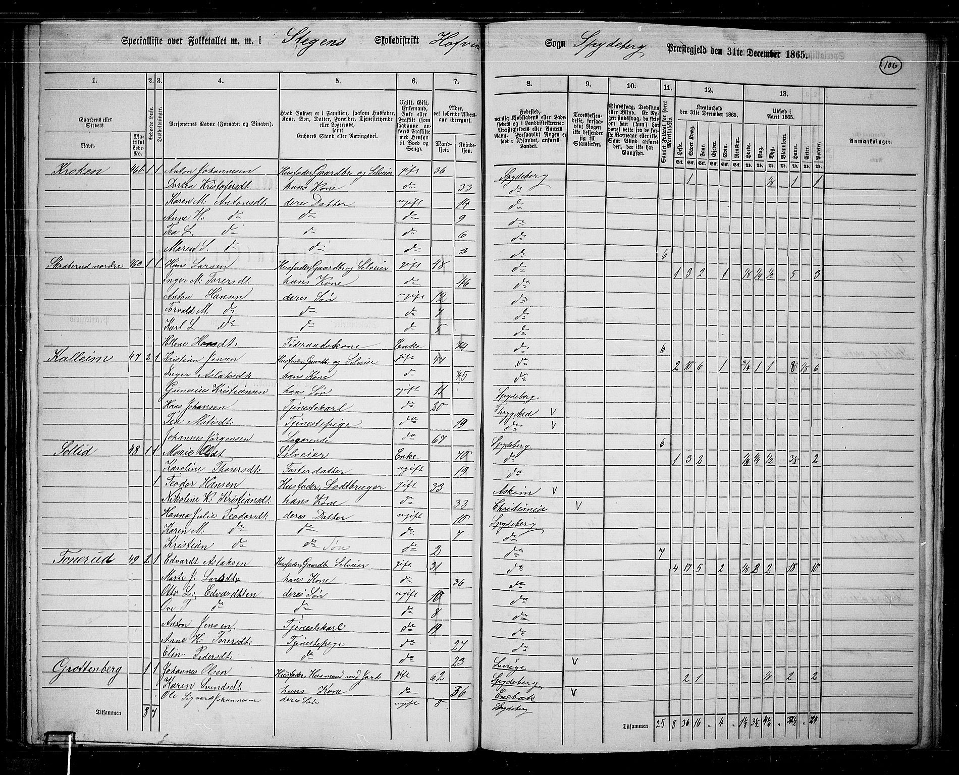 RA, 1865 census for Spydeberg, 1865, p. 94