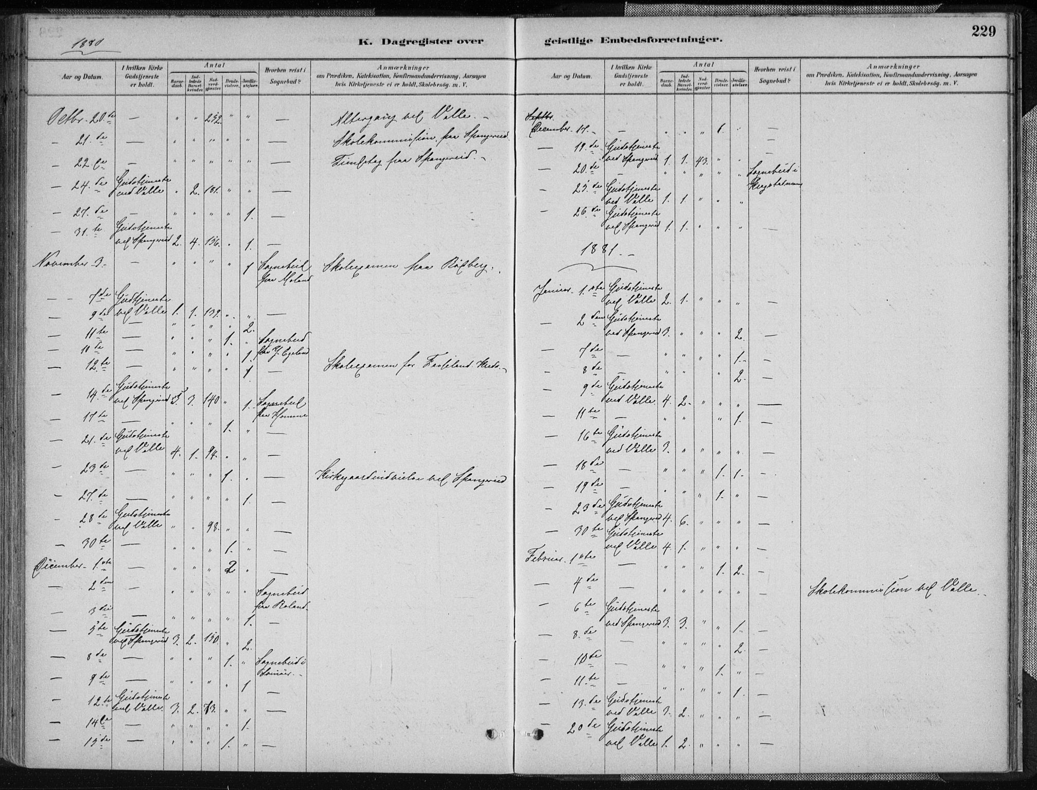 Sør-Audnedal sokneprestkontor, AV/SAK-1111-0039/F/Fa/Fab/L0009: Parish register (official) no. A 9, 1880-1895, p. 229