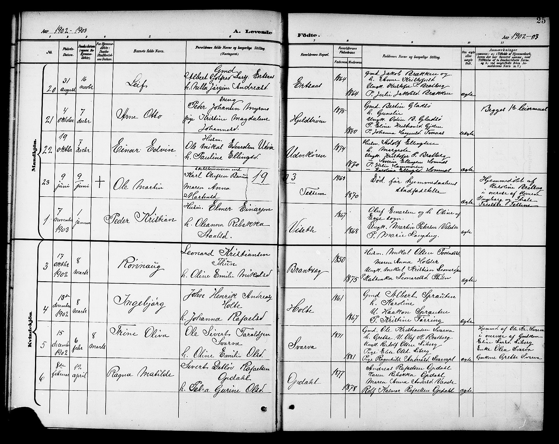 Ministerialprotokoller, klokkerbøker og fødselsregistre - Nord-Trøndelag, SAT/A-1458/741/L0401: Parish register (copy) no. 741C02, 1899-1911, p. 25