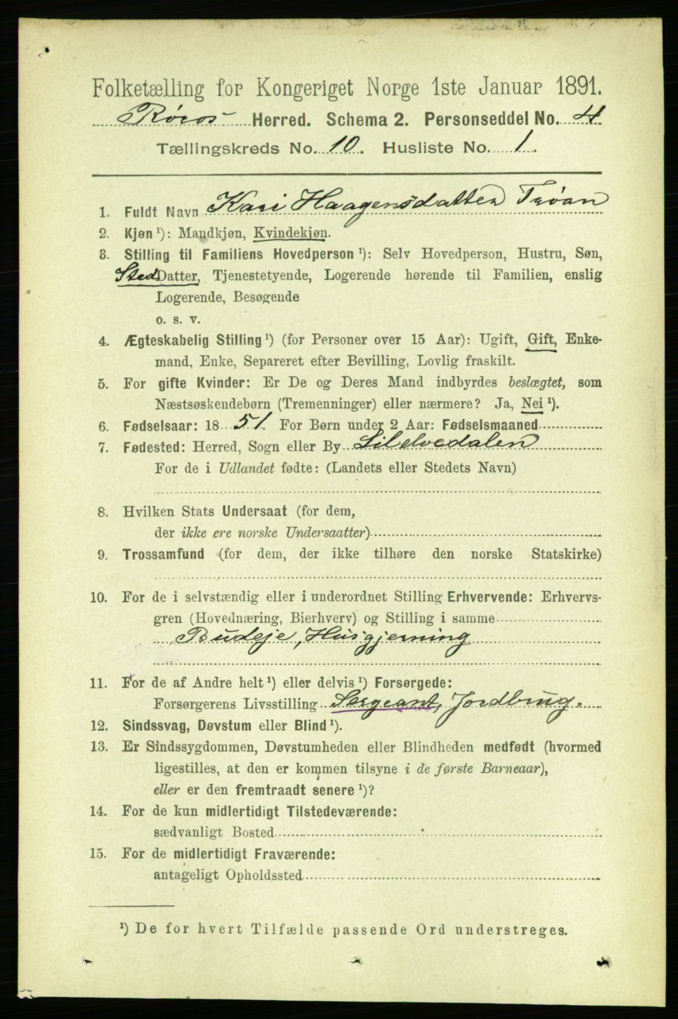 RA, 1891 census for 1640 Røros, 1891, p. 2021