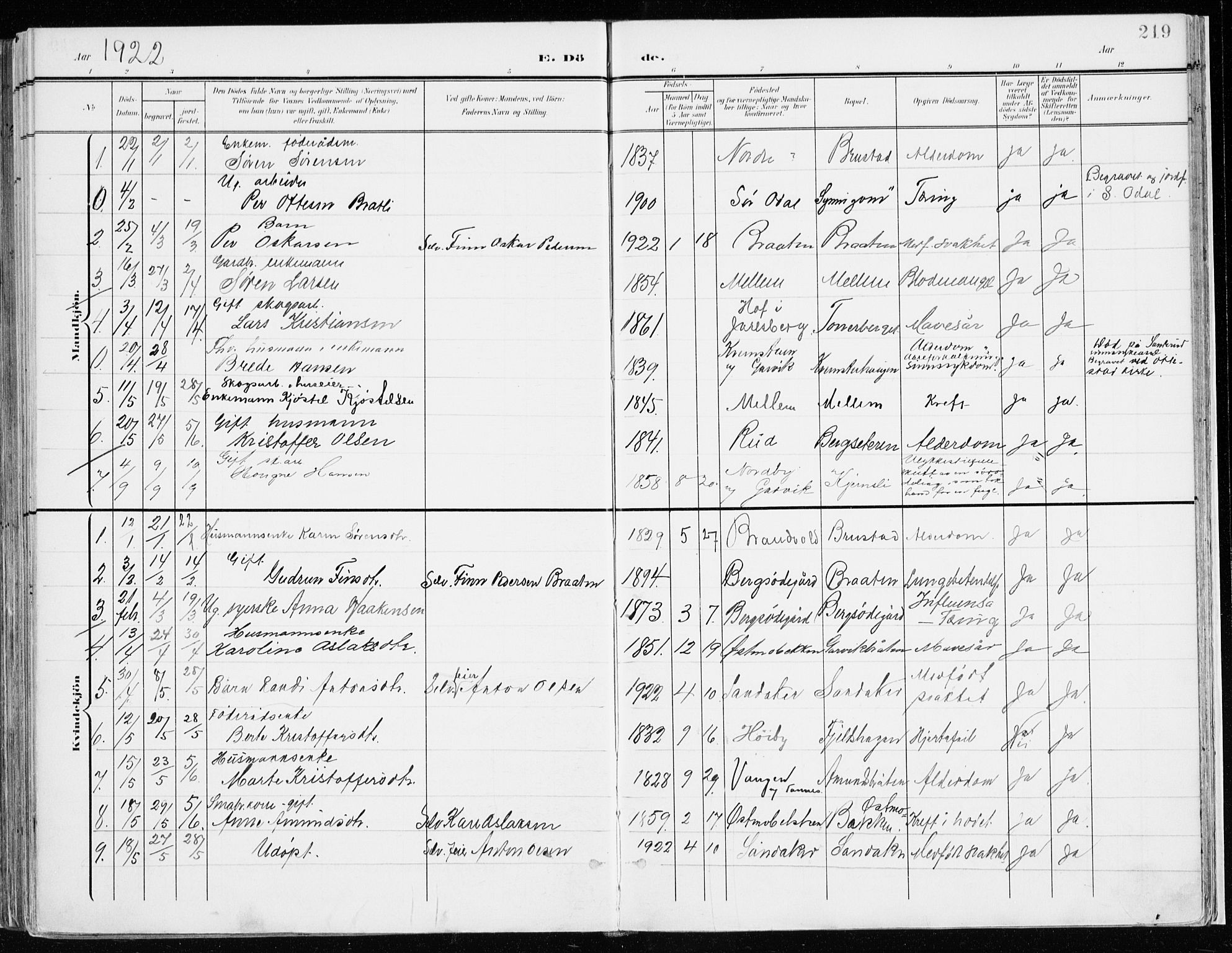 Nord-Odal prestekontor, SAH/PREST-032/H/Ha/Haa/L0009: Parish register (official) no. 9, 1902-1926, p. 219