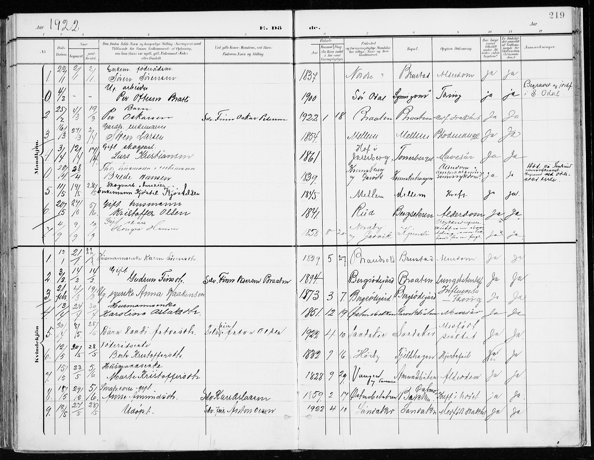 Nord-Odal prestekontor, AV/SAH-PREST-032/H/Ha/Haa/L0009: Parish register (official) no. 9, 1902-1926, p. 219