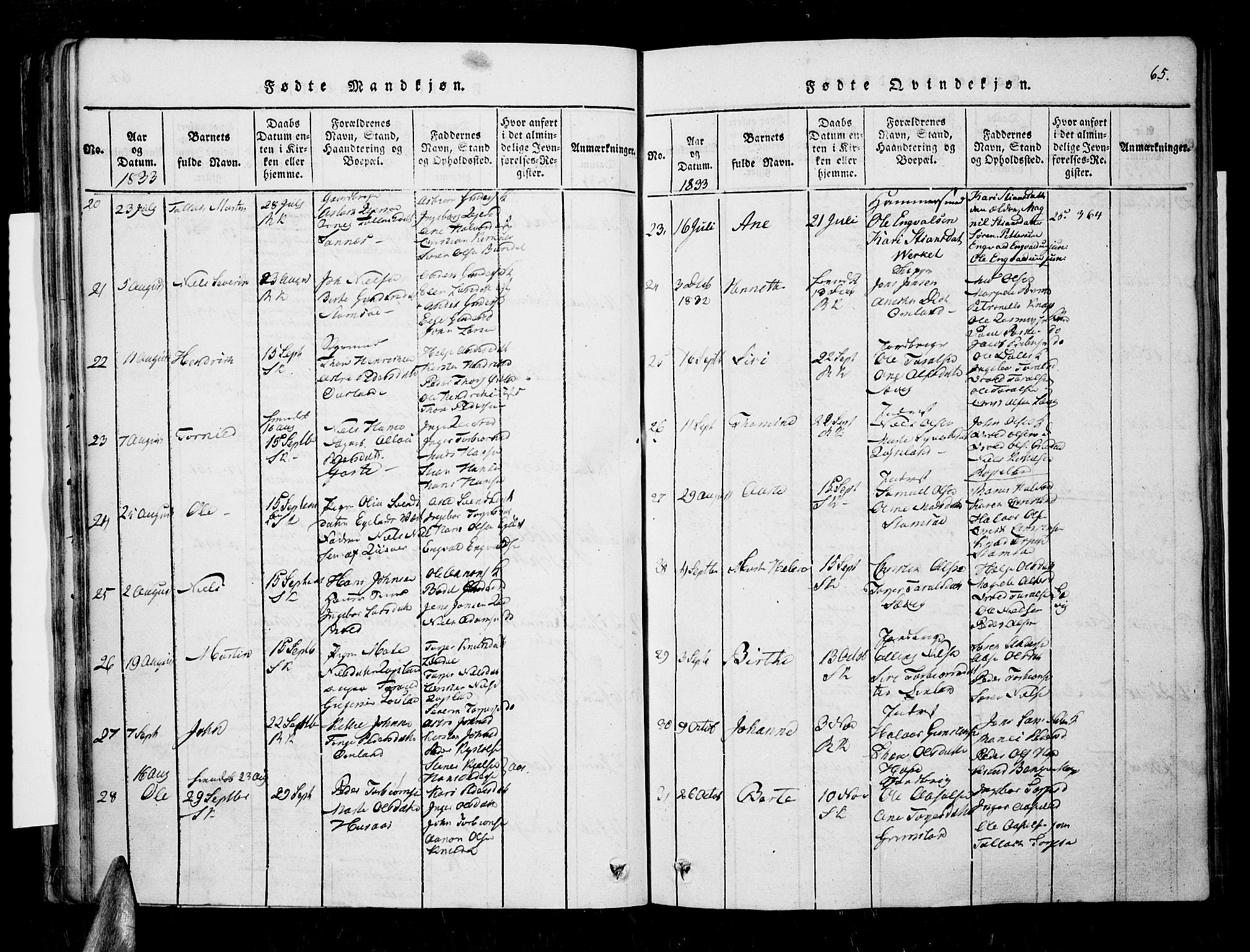 Søndeled sokneprestkontor, SAK/1111-0038/F/Fa/L0001: Parish register (official) no. A 1, 1816-1838, p. 65