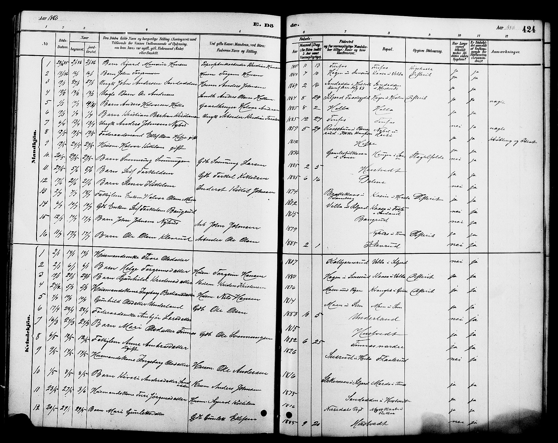 Heddal kirkebøker, SAKO/A-268/G/Ga/L0002: Parish register (copy) no. I 2, 1879-1908, p. 424