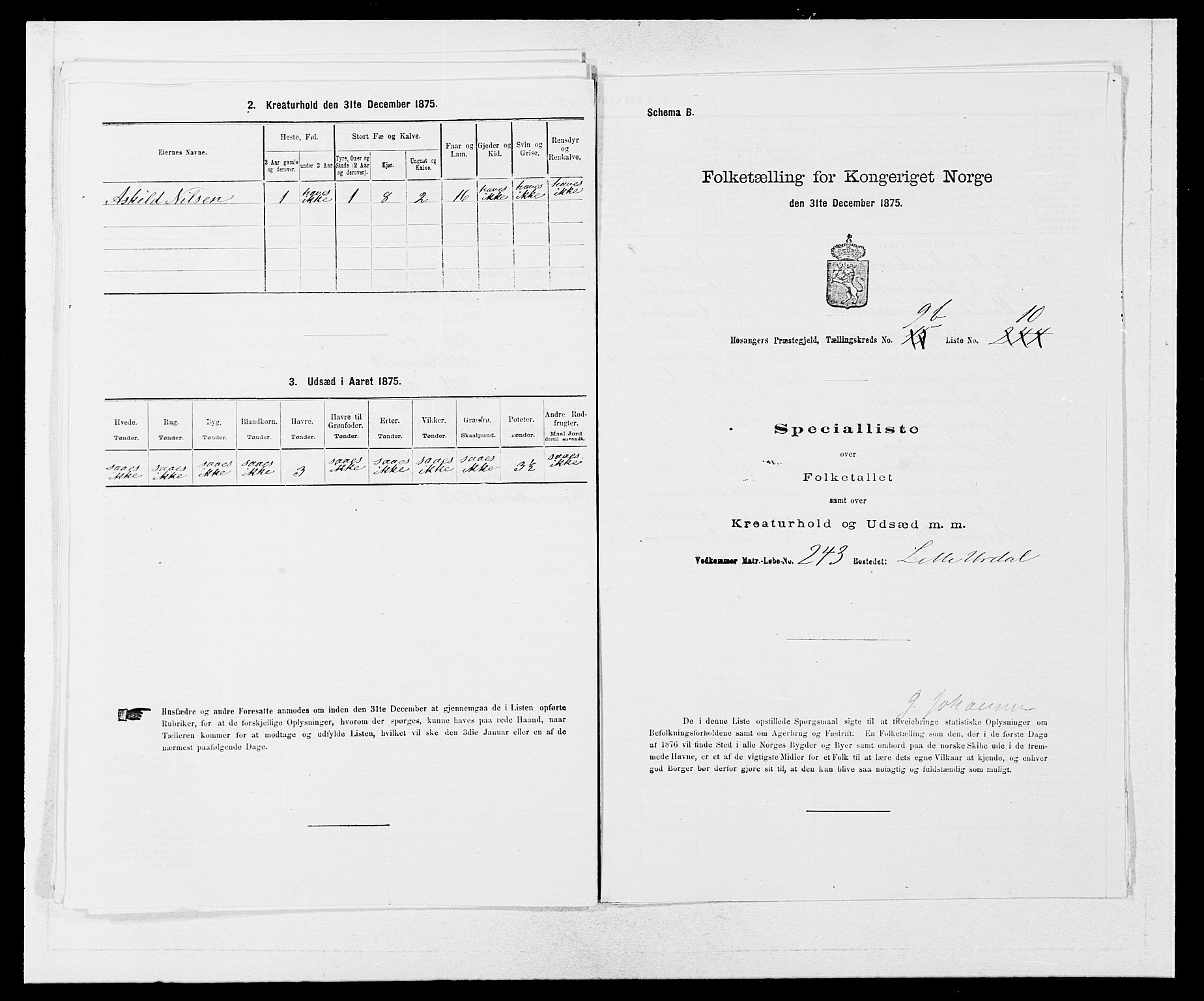 SAB, 1875 census for 1253P Hosanger, 1875, p. 699