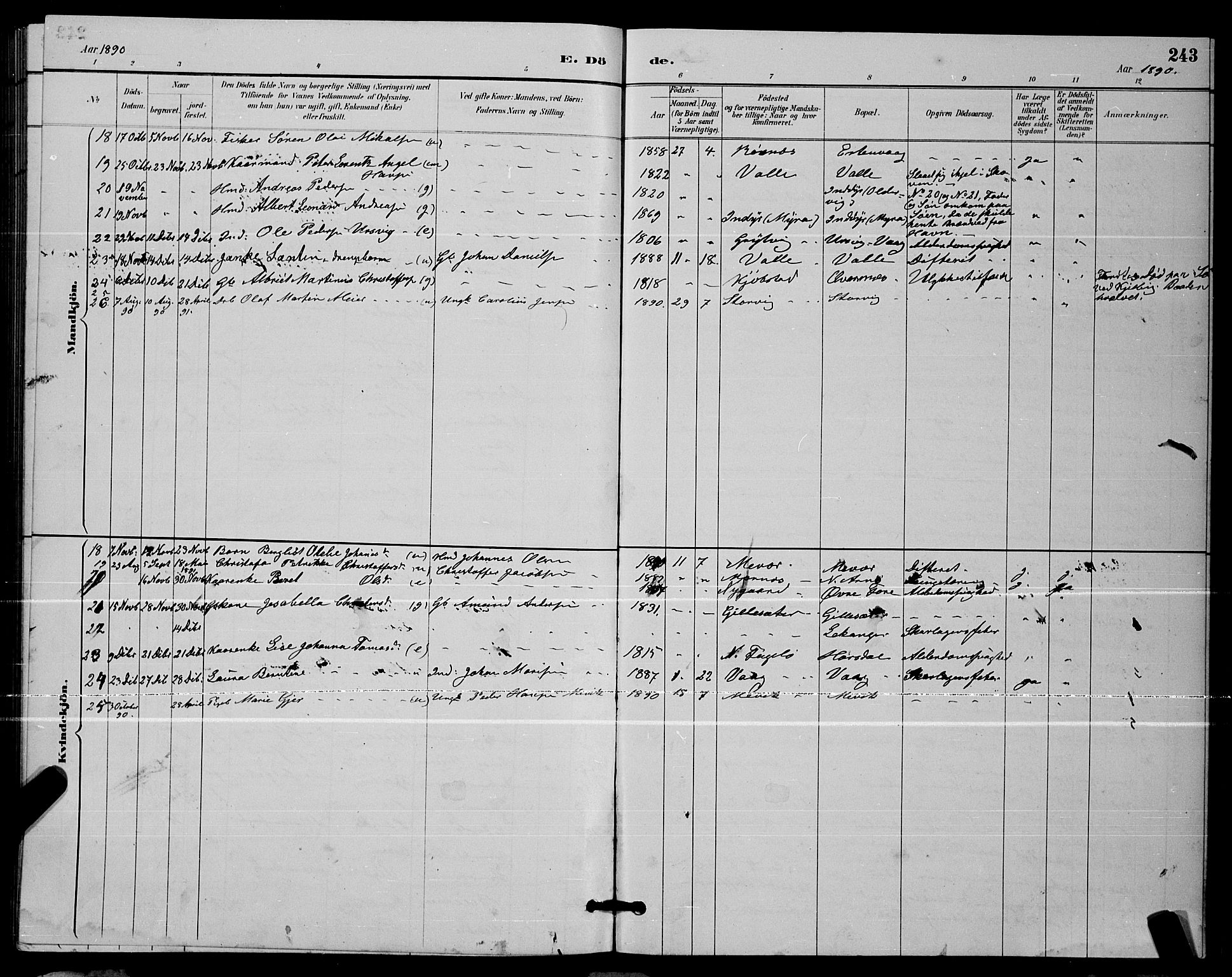 Ministerialprotokoller, klokkerbøker og fødselsregistre - Nordland, AV/SAT-A-1459/805/L0108: Parish register (copy) no. 805C04, 1885-1899, p. 243