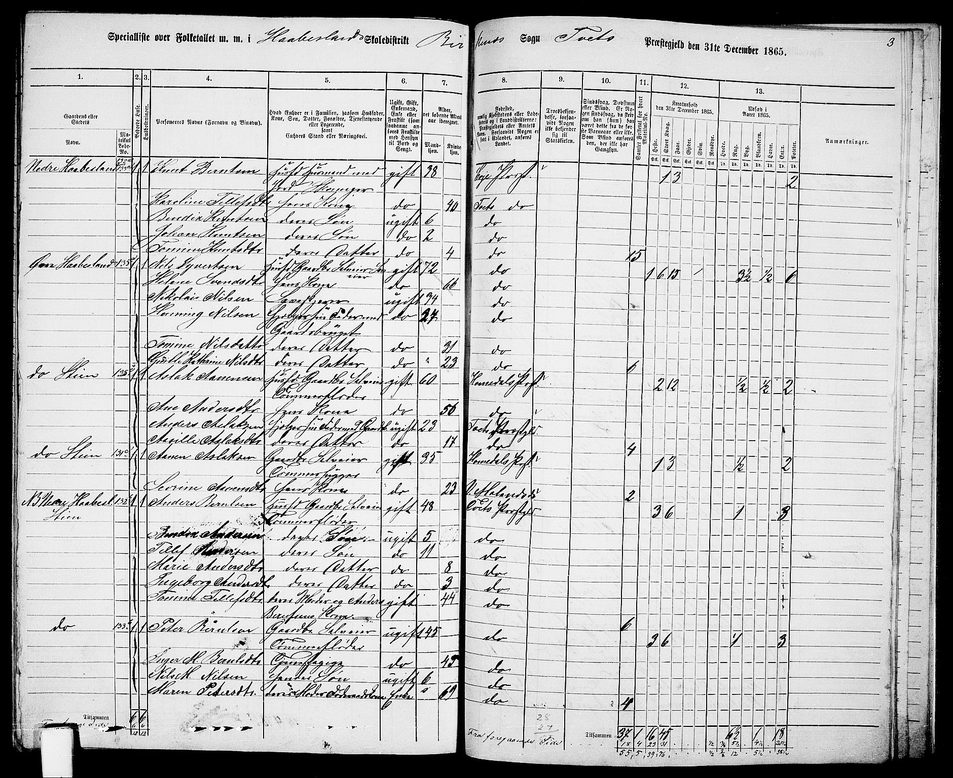 RA, 1865 census for Tveit, 1865, p. 138