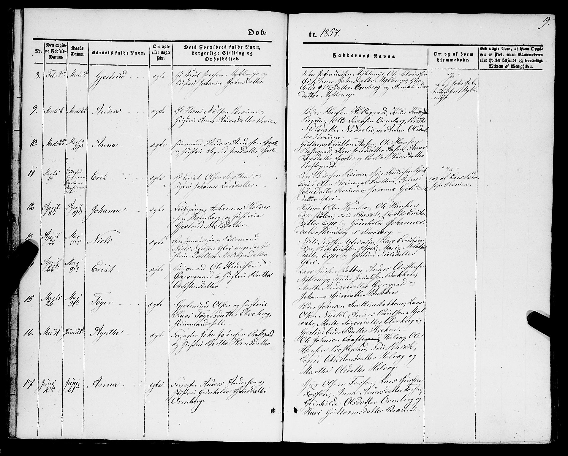 Jostedal sokneprestembete, SAB/A-80601/H/Haa/Haaa/L0005: Parish register (official) no. A 5, 1849-1877, p. 19