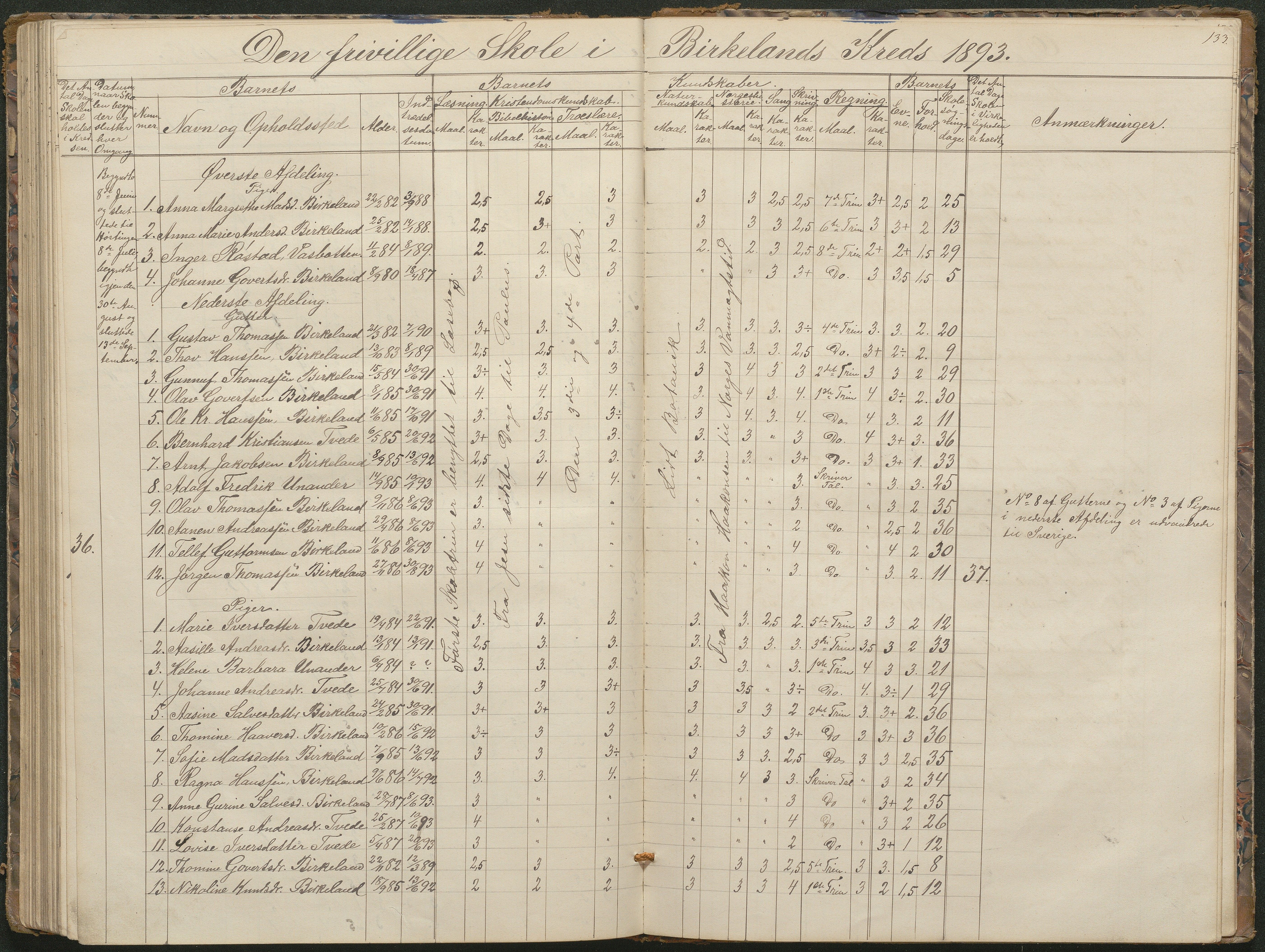 Birkenes kommune, Birkenes krets/Birkeland folkeskole frem til 1991, AAKS/KA0928-550a_91/F02/L0001: Skoleprotokoll, 1862-1896, p. 133