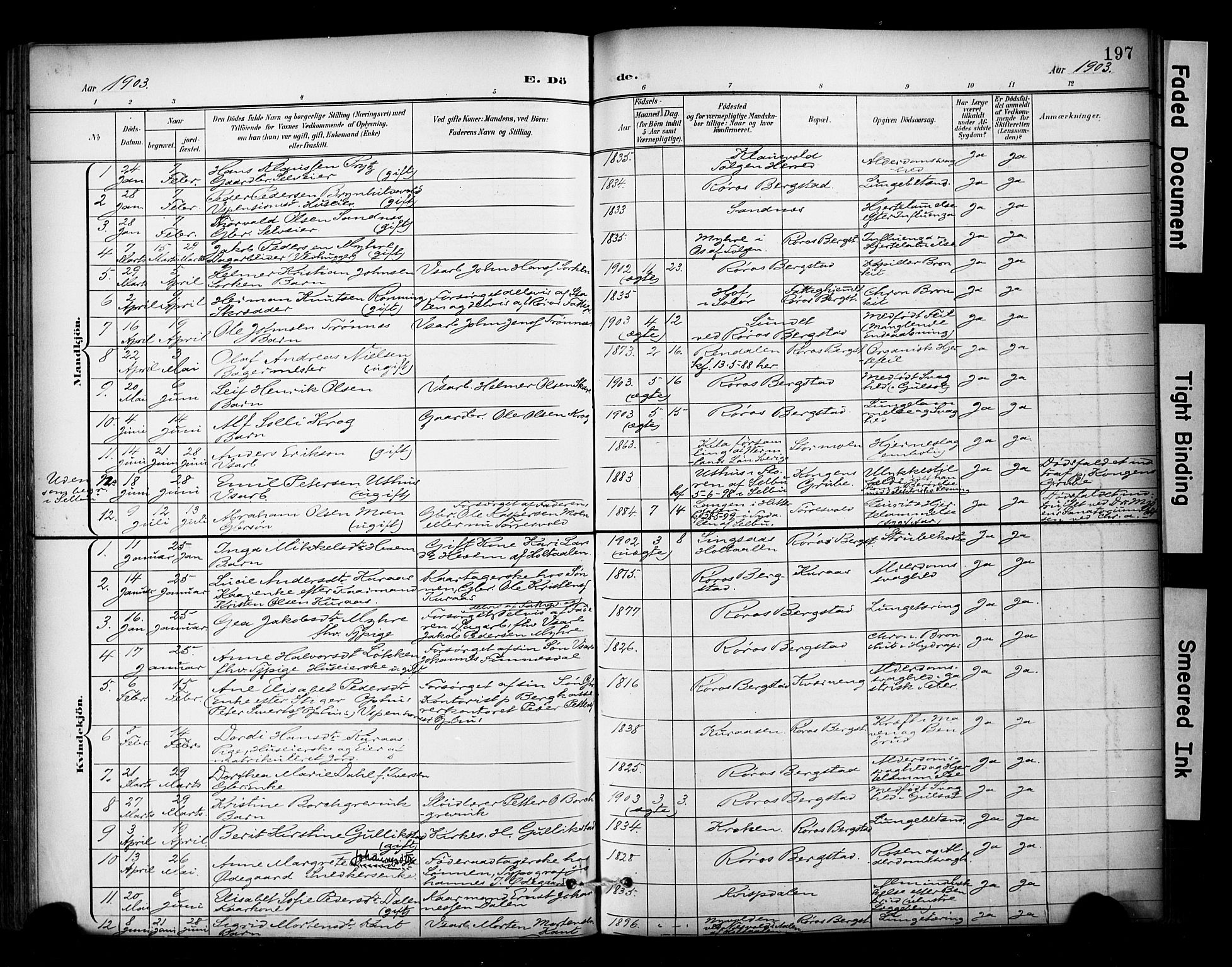 Ministerialprotokoller, klokkerbøker og fødselsregistre - Sør-Trøndelag, SAT/A-1456/681/L0936: Parish register (official) no. 681A14, 1899-1908, p. 197