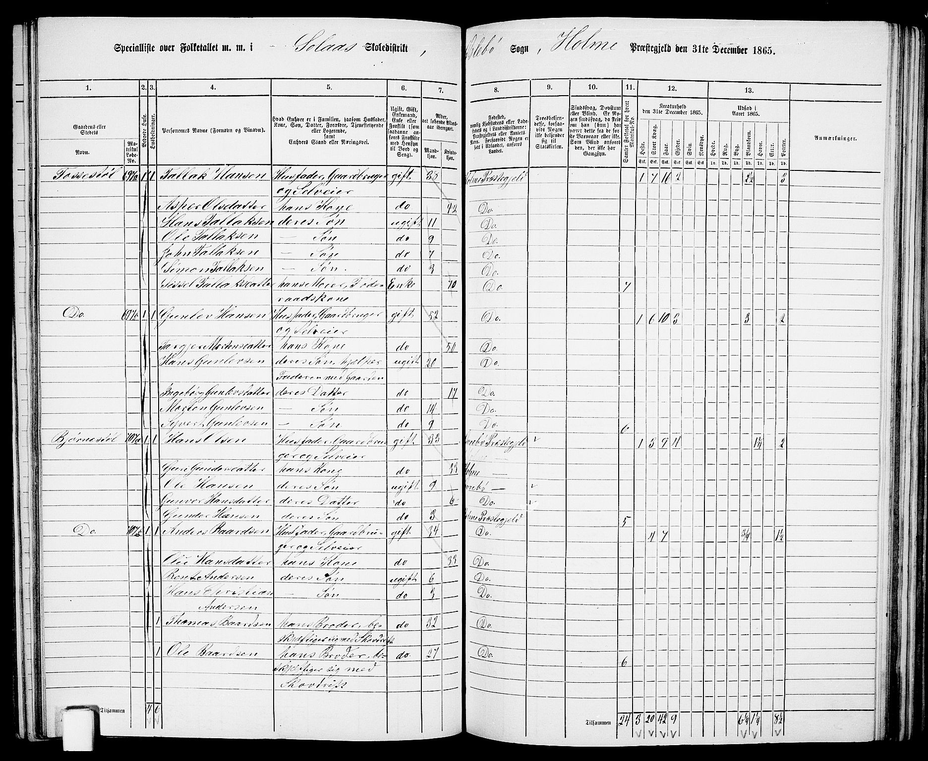 RA, 1865 census for Holum, 1865, p. 121