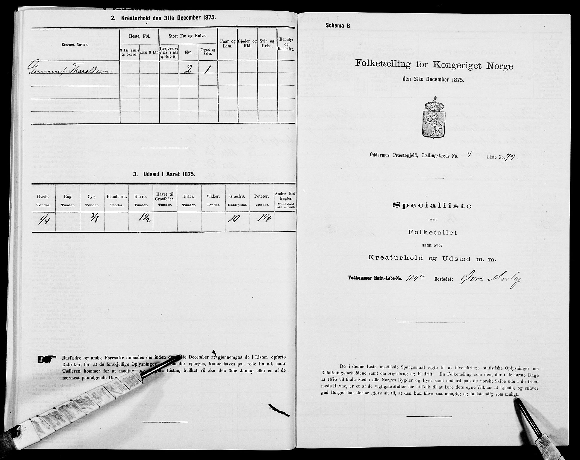 SAK, 1875 census for 1012P Oddernes, 1875, p. 720