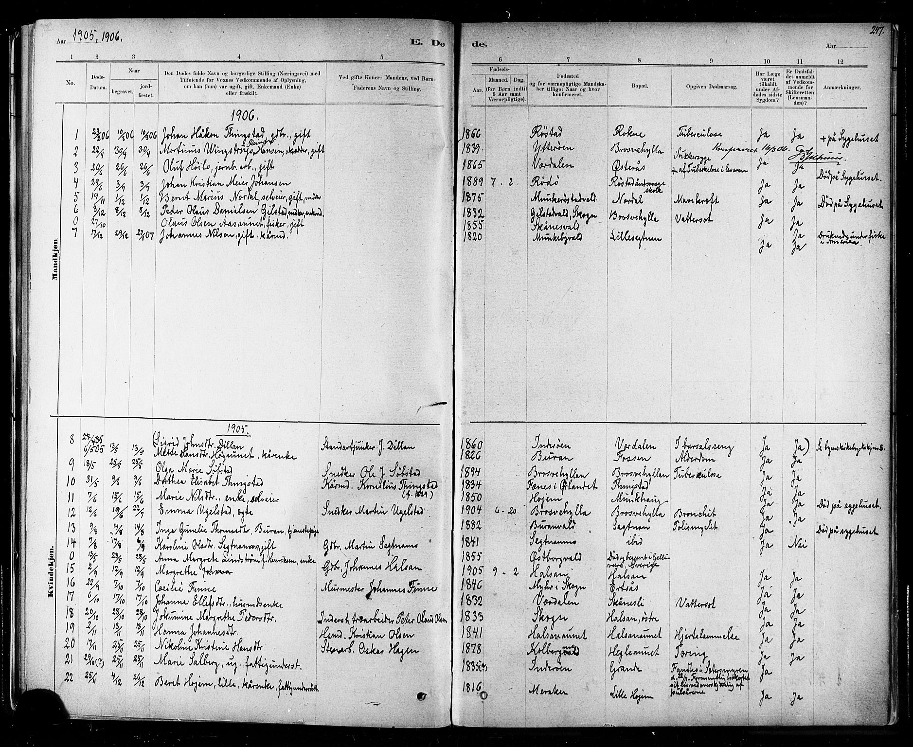 Ministerialprotokoller, klokkerbøker og fødselsregistre - Nord-Trøndelag, SAT/A-1458/721/L0208: Parish register (copy) no. 721C01, 1880-1917, p. 247