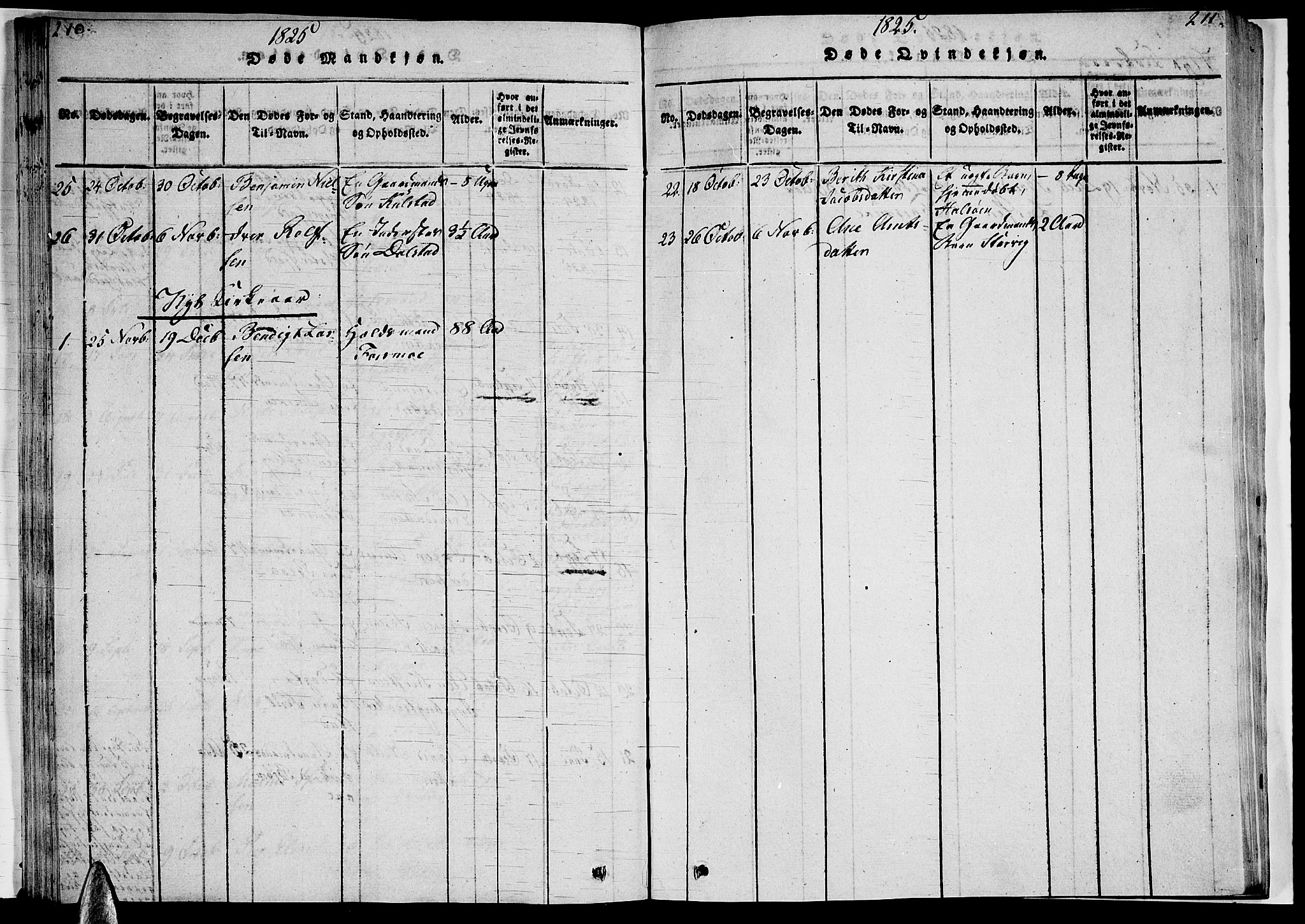 Ministerialprotokoller, klokkerbøker og fødselsregistre - Nordland, AV/SAT-A-1459/820/L0288: Parish register (official) no. 820A09, 1820-1825, p. 210-211