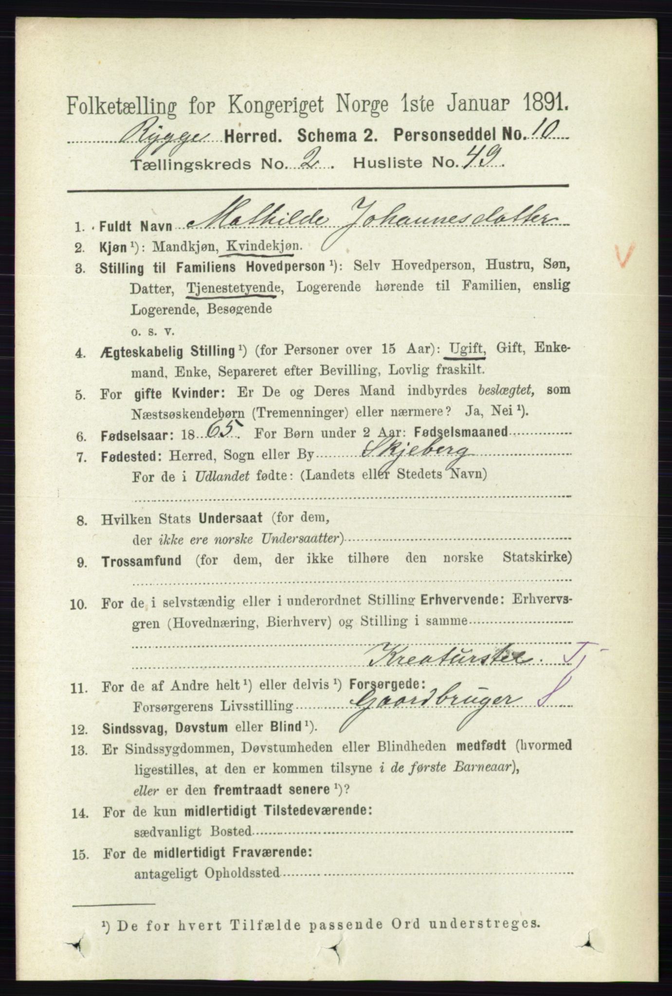 RA, 1891 census for 0136 Rygge, 1891, p. 1323