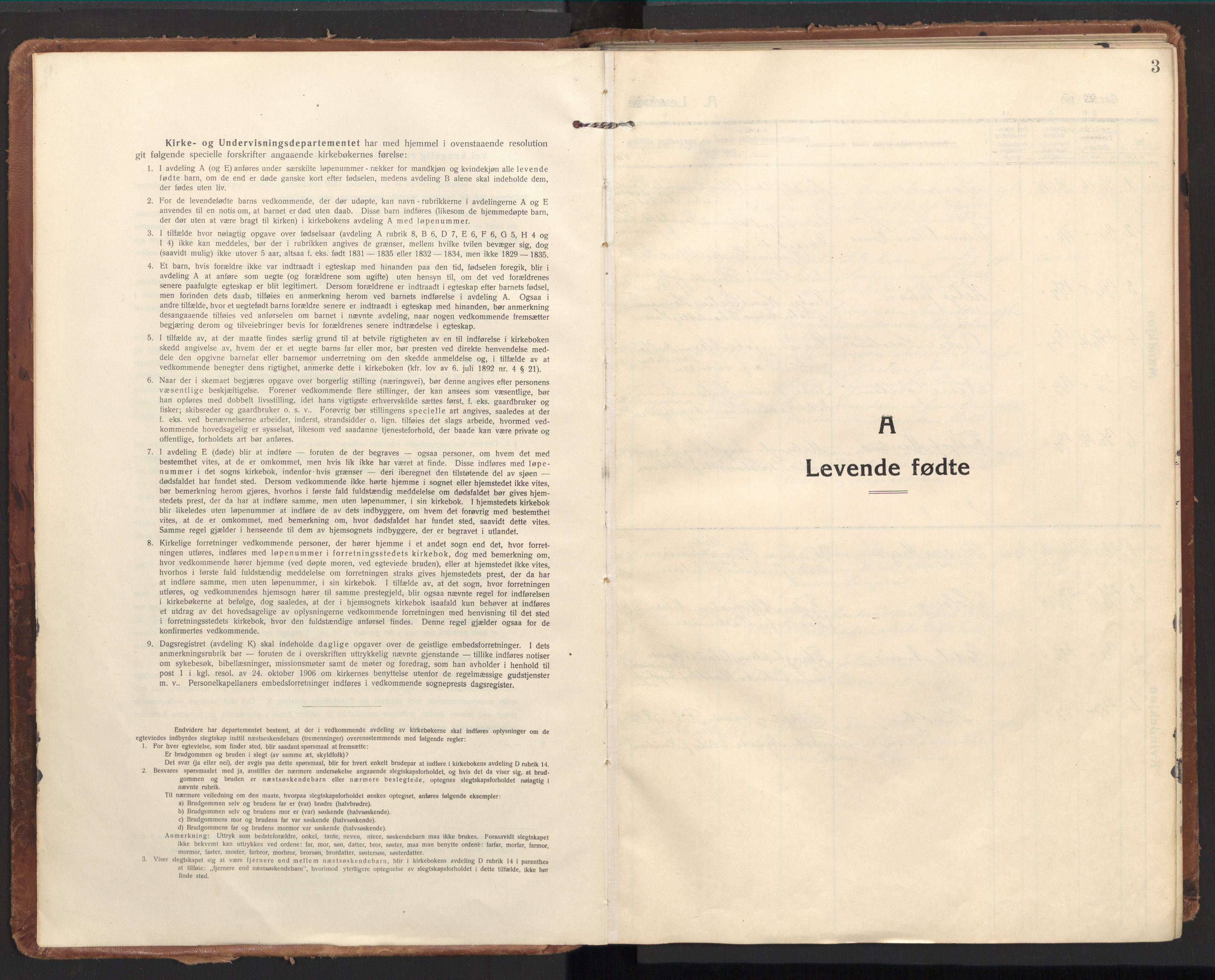 Ministerialprotokoller, klokkerbøker og fødselsregistre - Nordland, SAT/A-1459/894/L1357: Parish register (official) no. 894A03, 1913-1934, p. 3