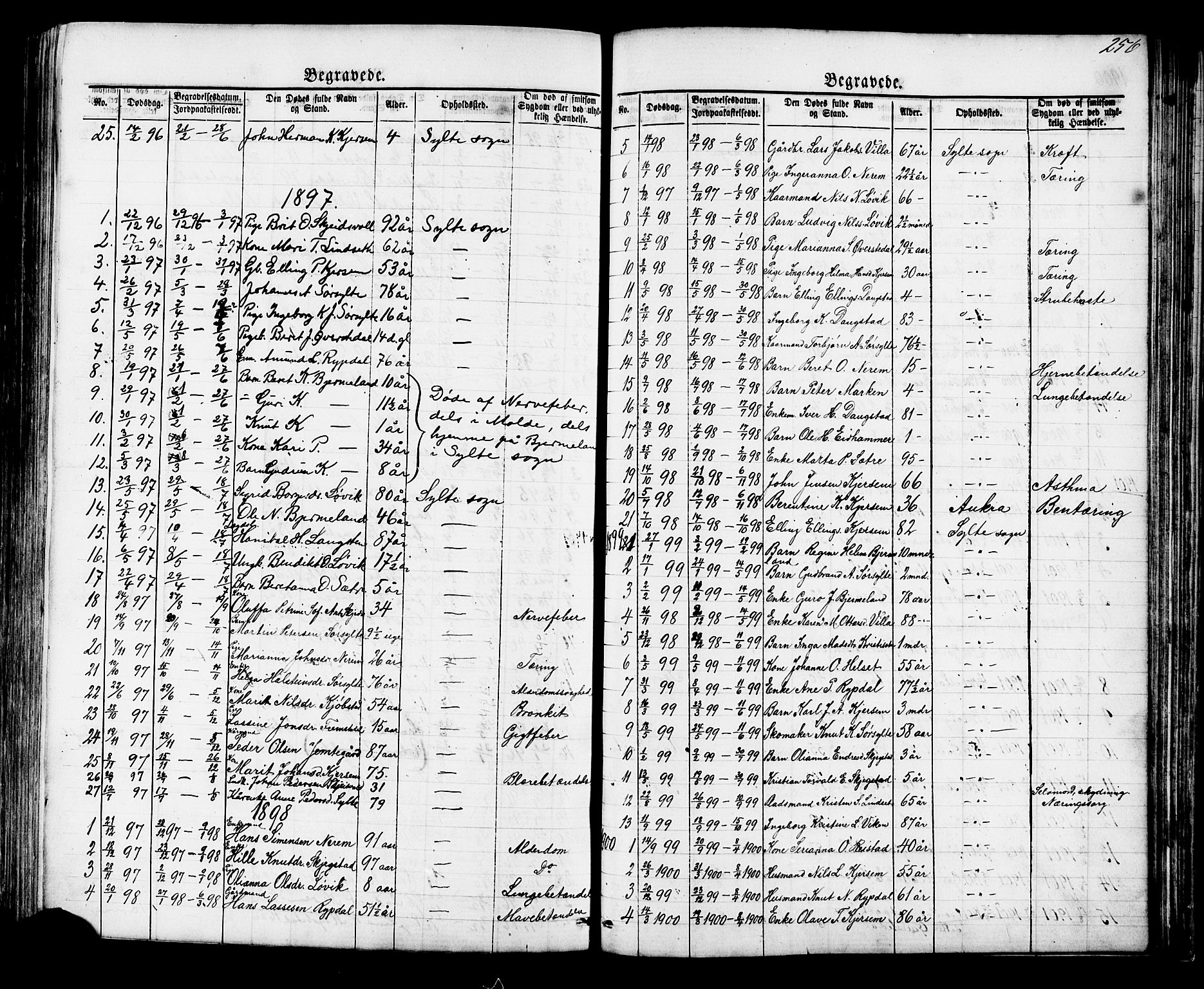 Ministerialprotokoller, klokkerbøker og fødselsregistre - Møre og Romsdal, AV/SAT-A-1454/541/L0547: Parish register (copy) no. 541C02, 1867-1921, p. 256