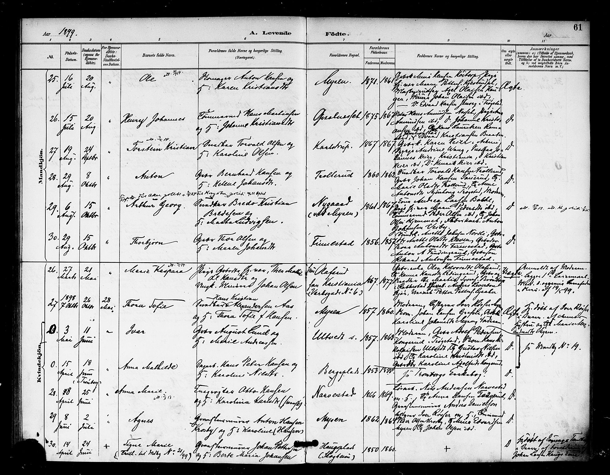 Eidsberg prestekontor Kirkebøker, SAO/A-10905/F/Fa/L0013: Parish register (official) no. I 13, 1890-1901, p. 61