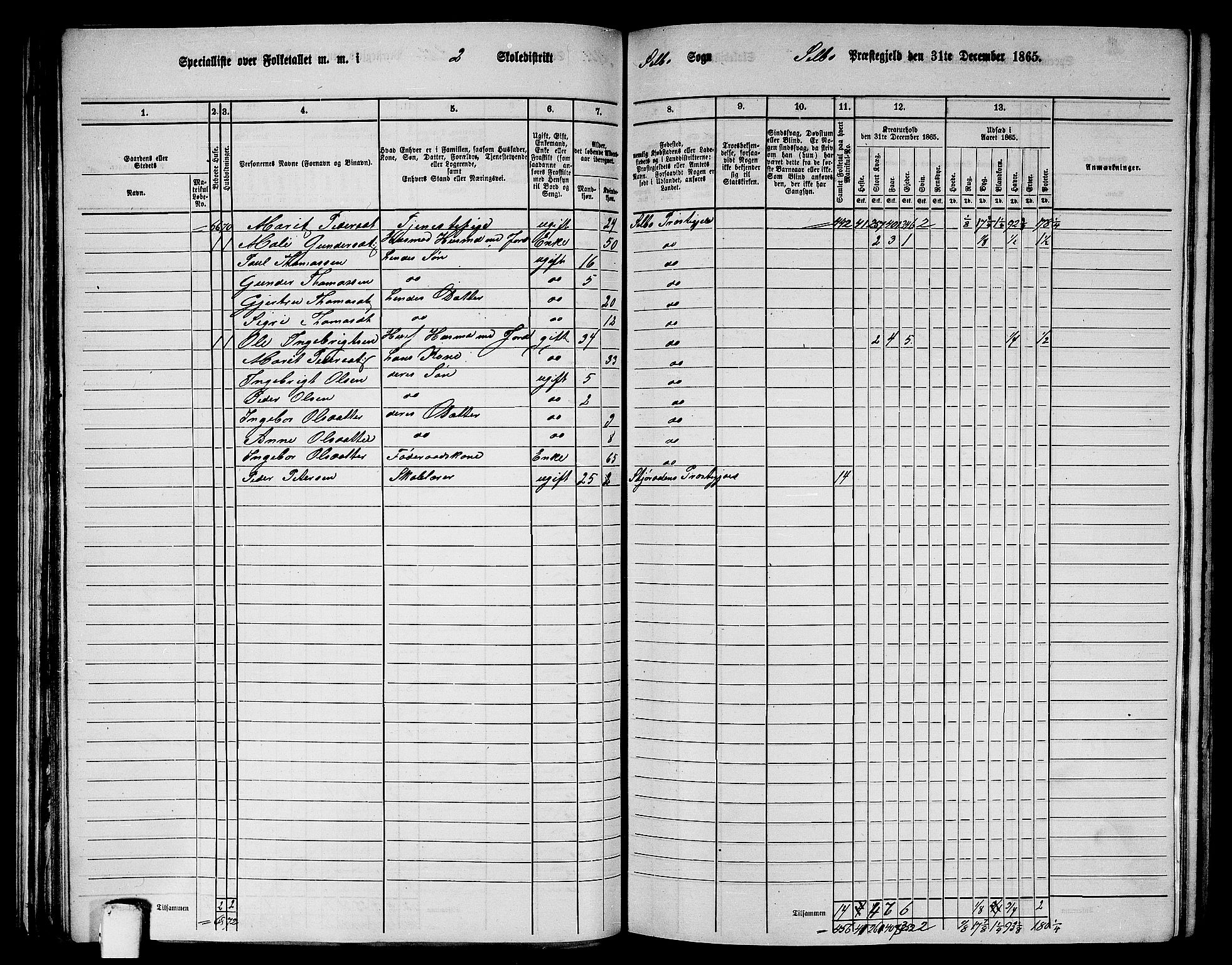 RA, 1865 census for Selbu, 1865, p. 33