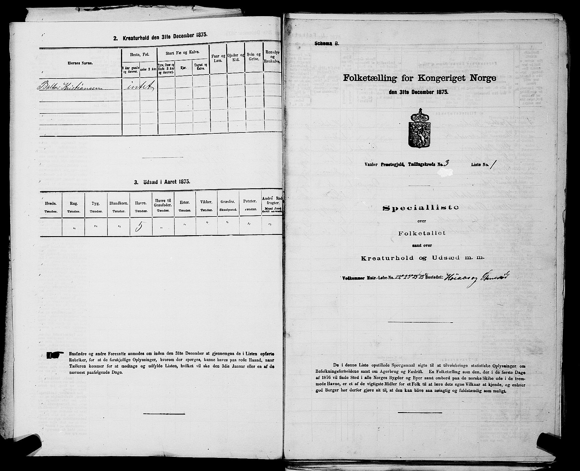 RA, 1875 census for 0137P Våler, 1875, p. 409