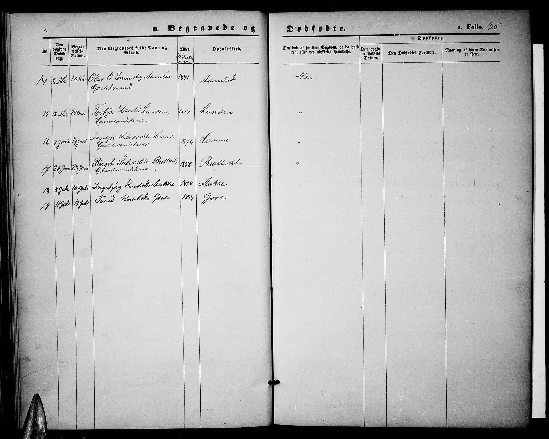 Valle sokneprestkontor, AV/SAK-1111-0044/F/Fb/Fbc/L0003: Parish register (copy) no. B 3, 1871-1890, p. 125